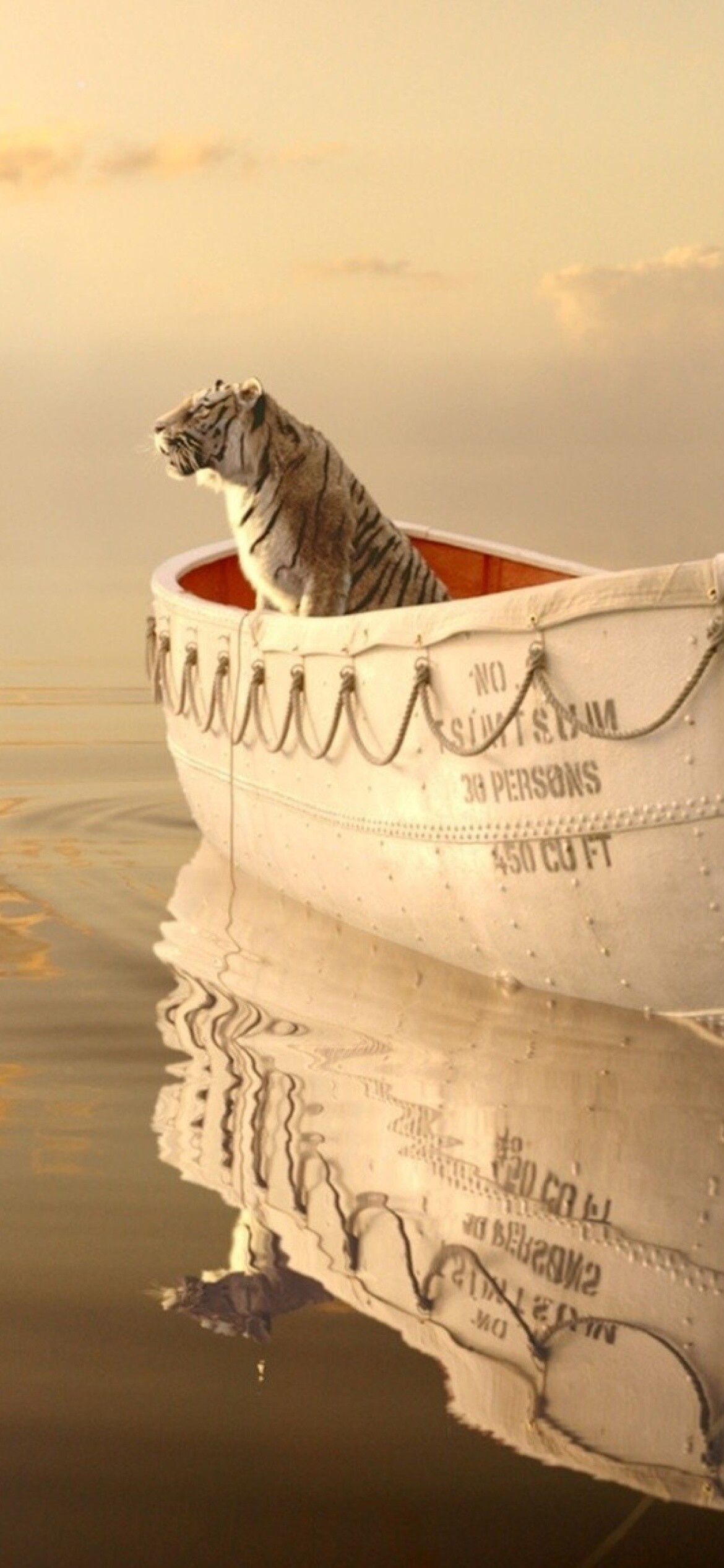 Life of Pi: It was shot in New Zealand, Canada, India, and Taiwan. 1170x2540 HD Wallpaper.