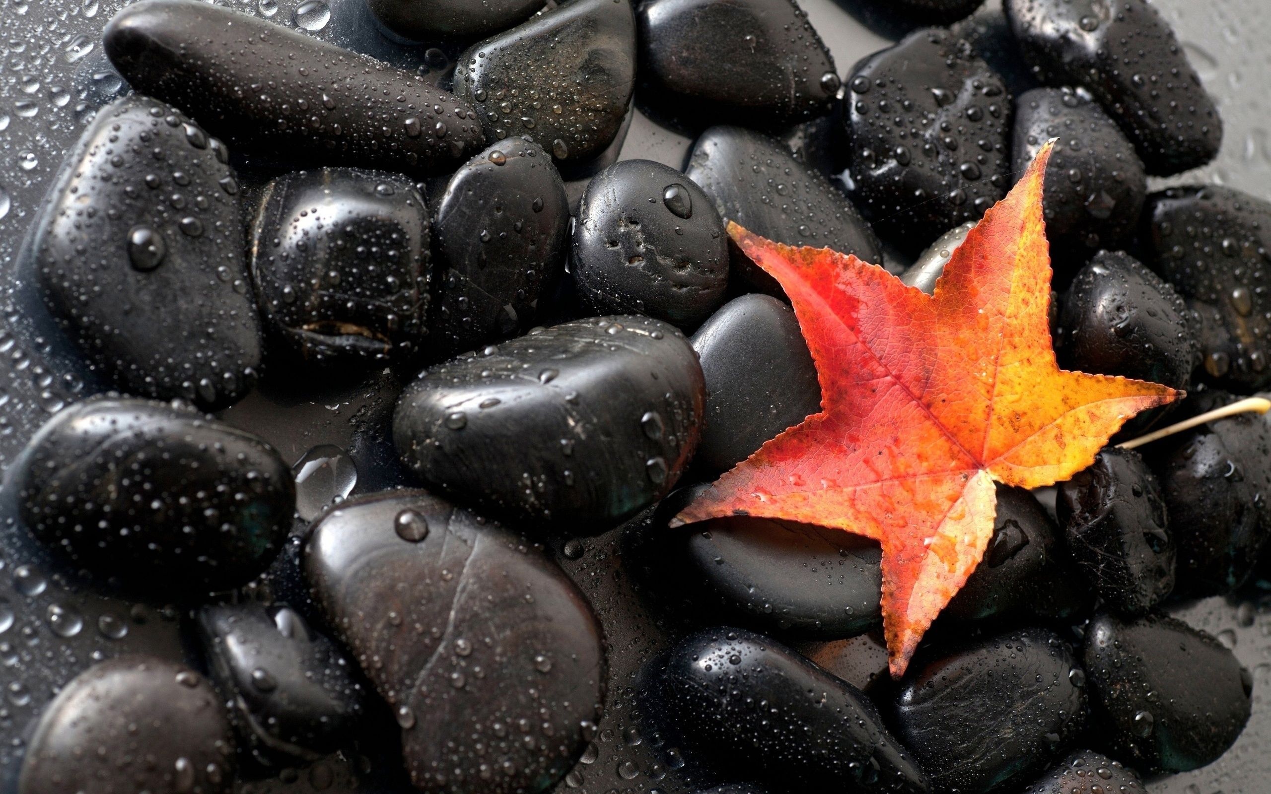 Onyx, Meaning and properties, Enigmatic black stone, Symbol of protection, 2560x1600 HD Desktop