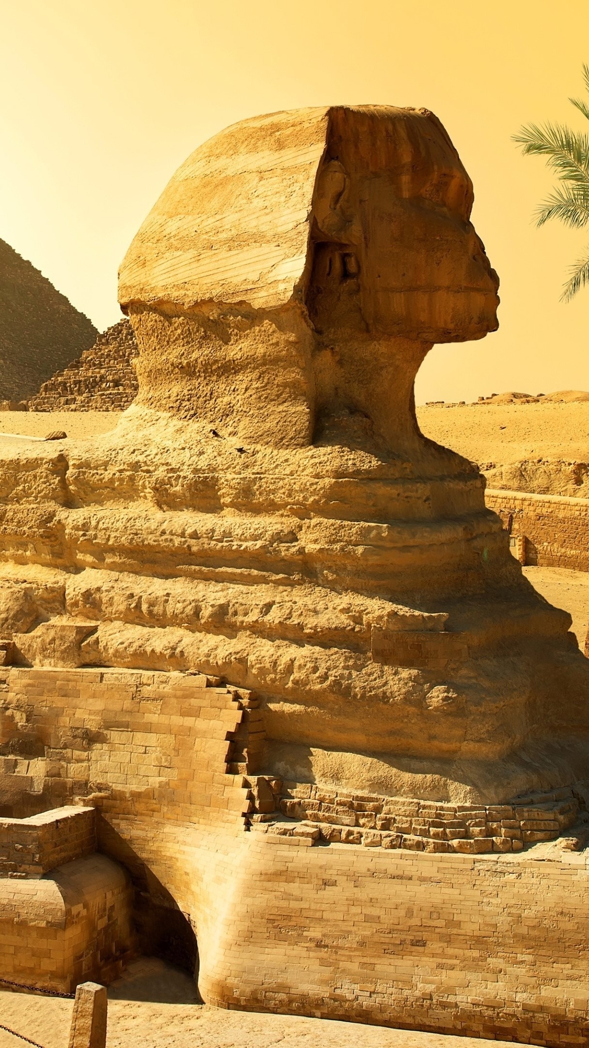 Sphinx Wallpaper, Backiee, Travels, Egypt, 1220x2160 HD Phone