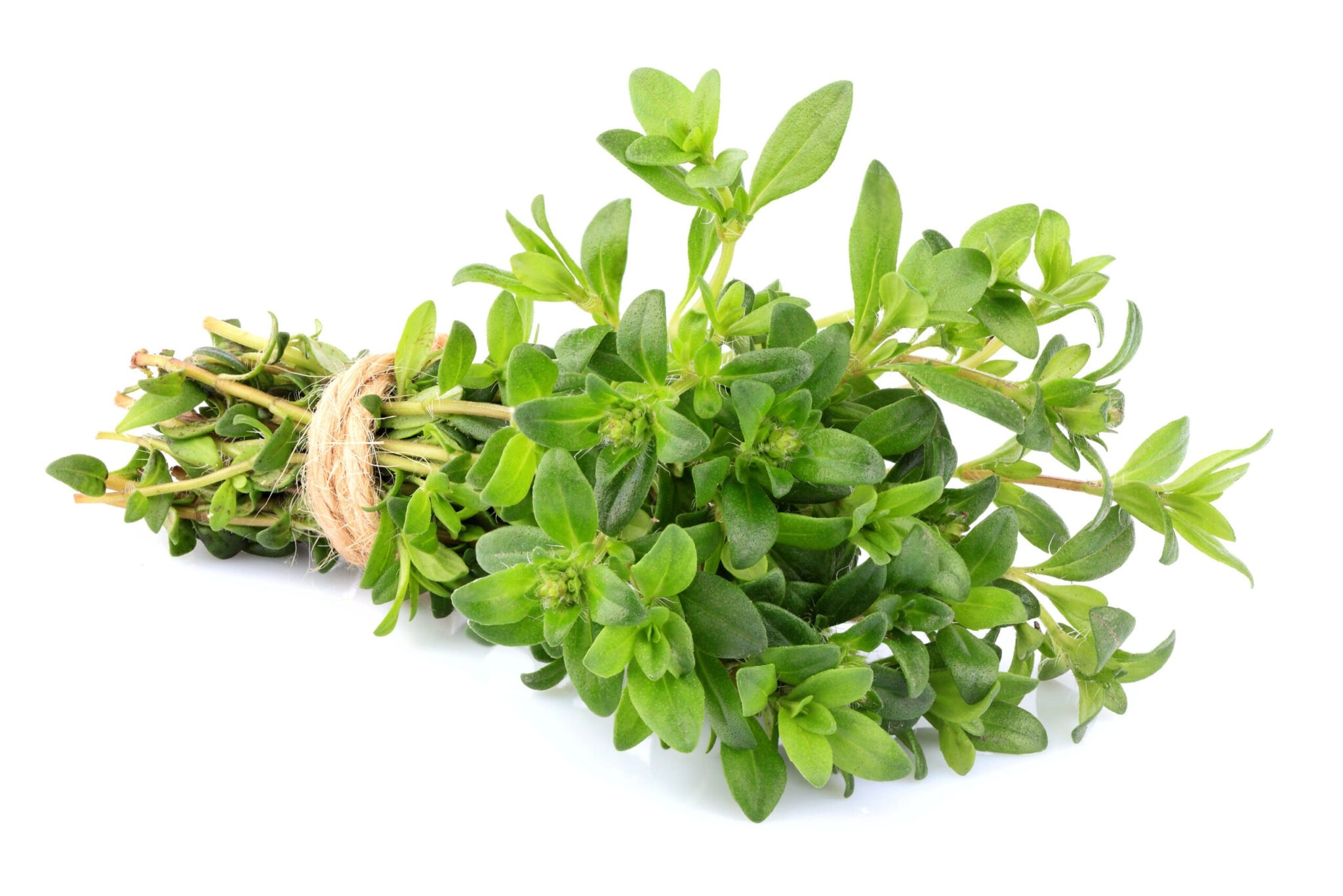 Health benefits of thyme, Natural remedy, Wellness tonic, Medicinal herb, 2050x1370 HD Desktop
