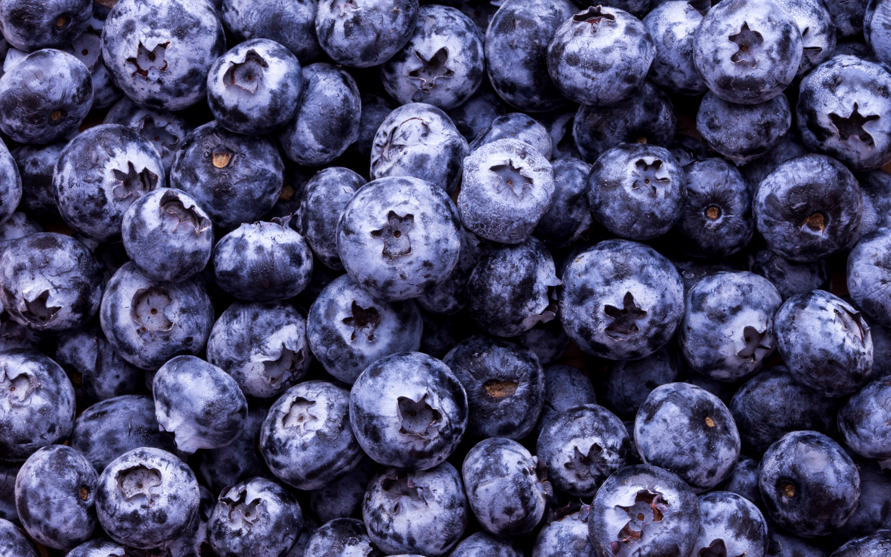 High-quality blueberry background, Textured berries, Vivid colors, Food-themed wallpaper, 2880x1800 HD Desktop