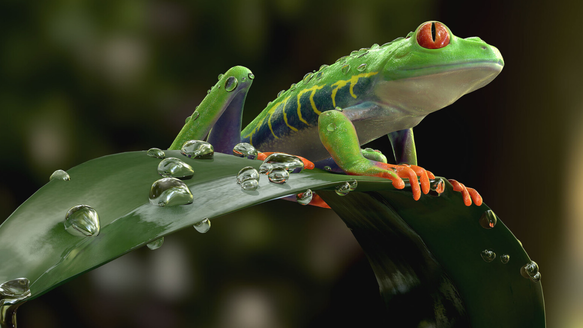 Artstation's wonders, Red Eyed Frog, CG artists' prowess, Creative amphibian, 1920x1080 Full HD Desktop