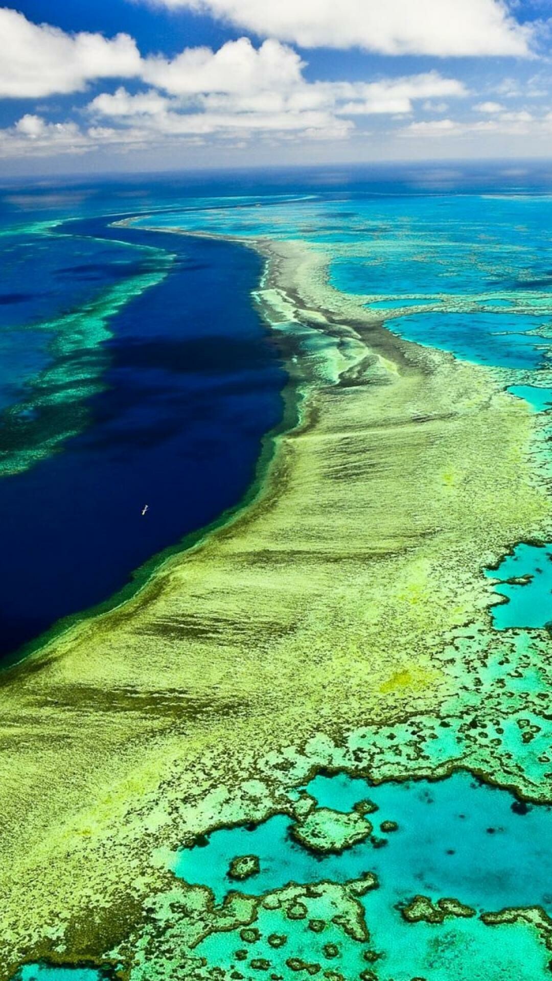 Great Barrier Reef: A chain of coral reefs about 2,300 km long, Stretches almost 1500 miles into the Pacific from the tip of Queensland. 1080x1920 Full HD Background.