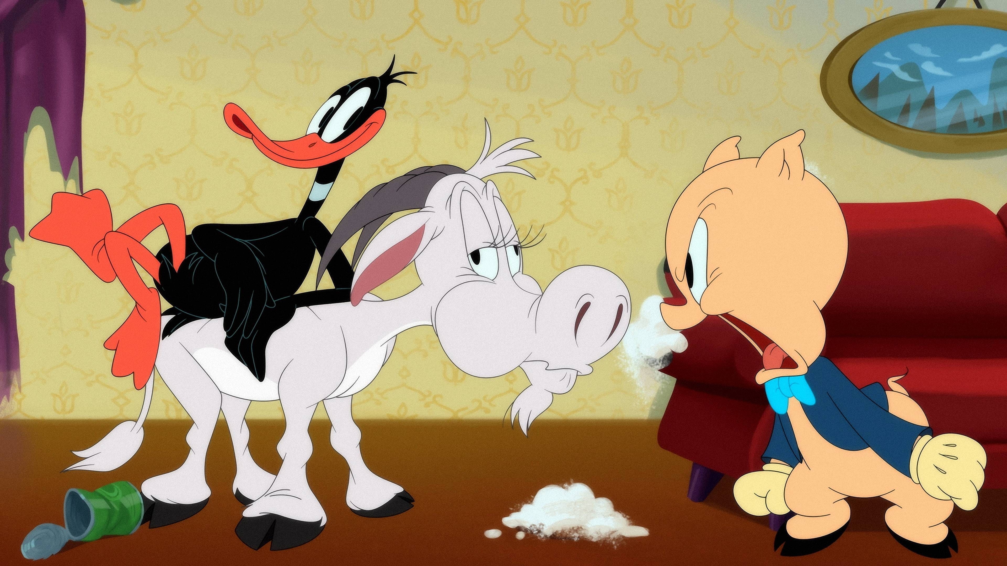 Looney Tunes, Cartoons, Season 4, Episode 23, 3840x2160 4K Desktop