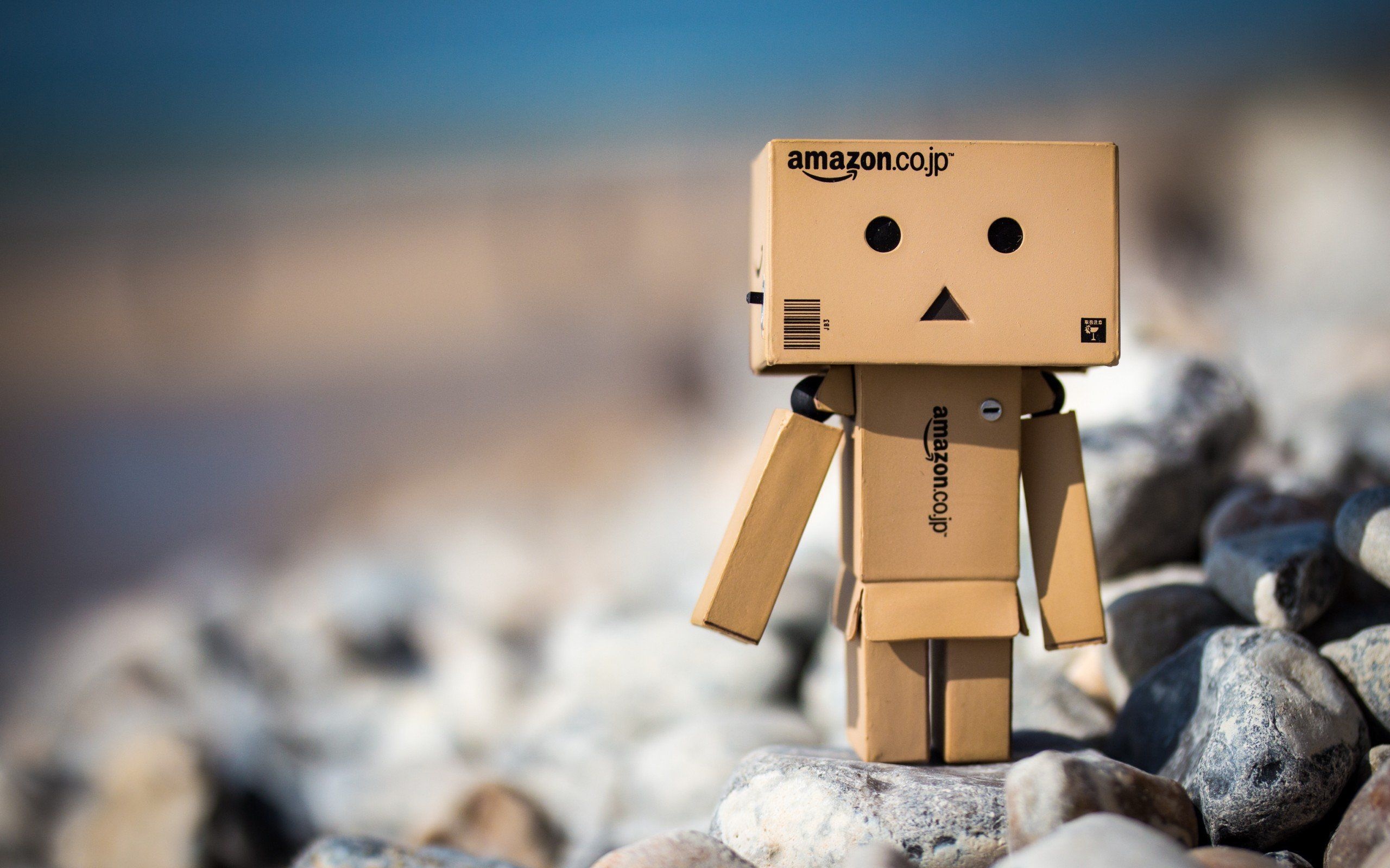 Amazon: Cute box robot, Danbo, Internet meme, Japan, Cardboard. 2560x1600 HD Wallpaper.