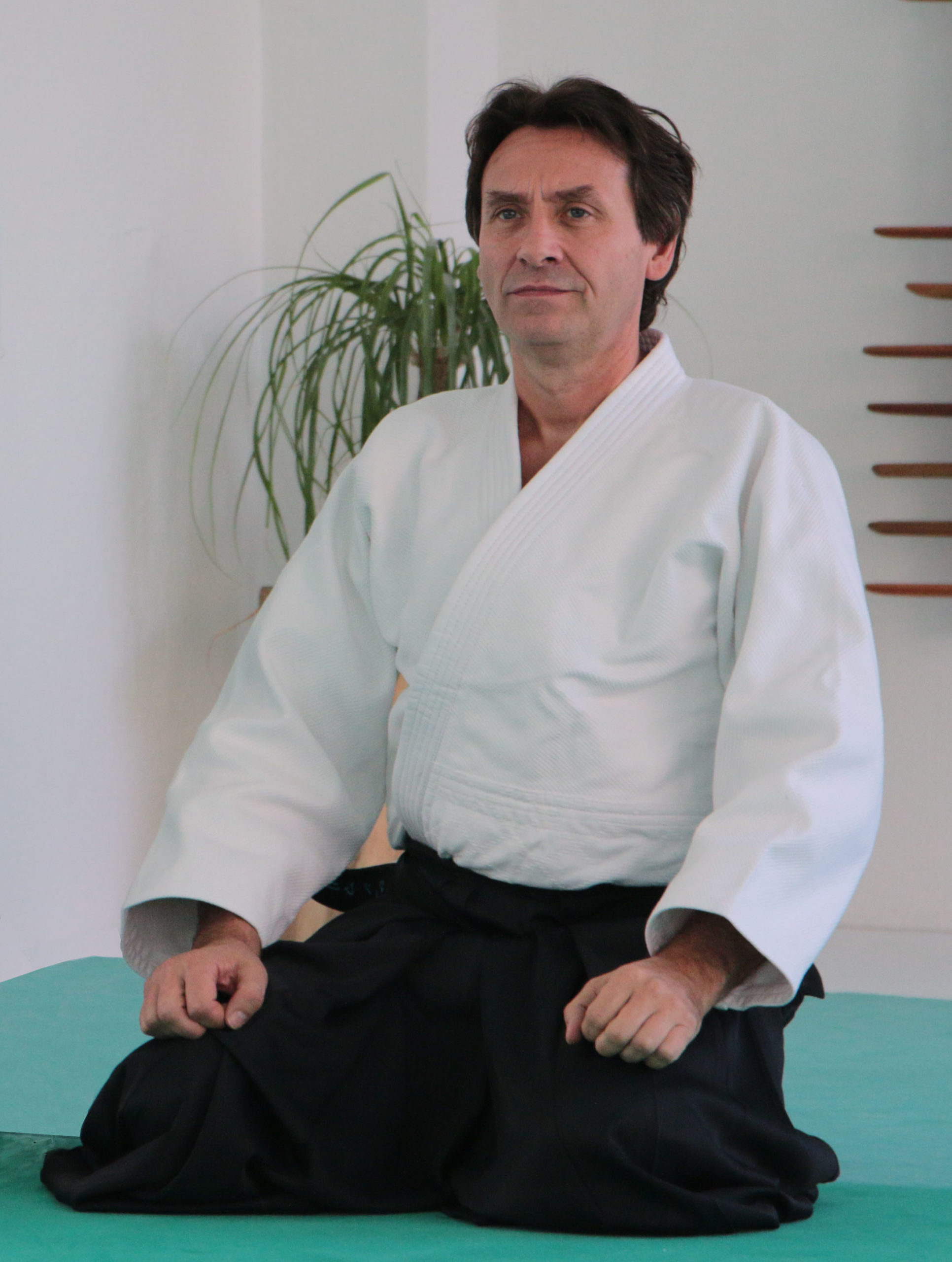 Aikido: Jean-Marie Milleville, Instructor, 6. Dan Aikikai school, The International Aikido Federation. 1940x2560 HD Wallpaper.