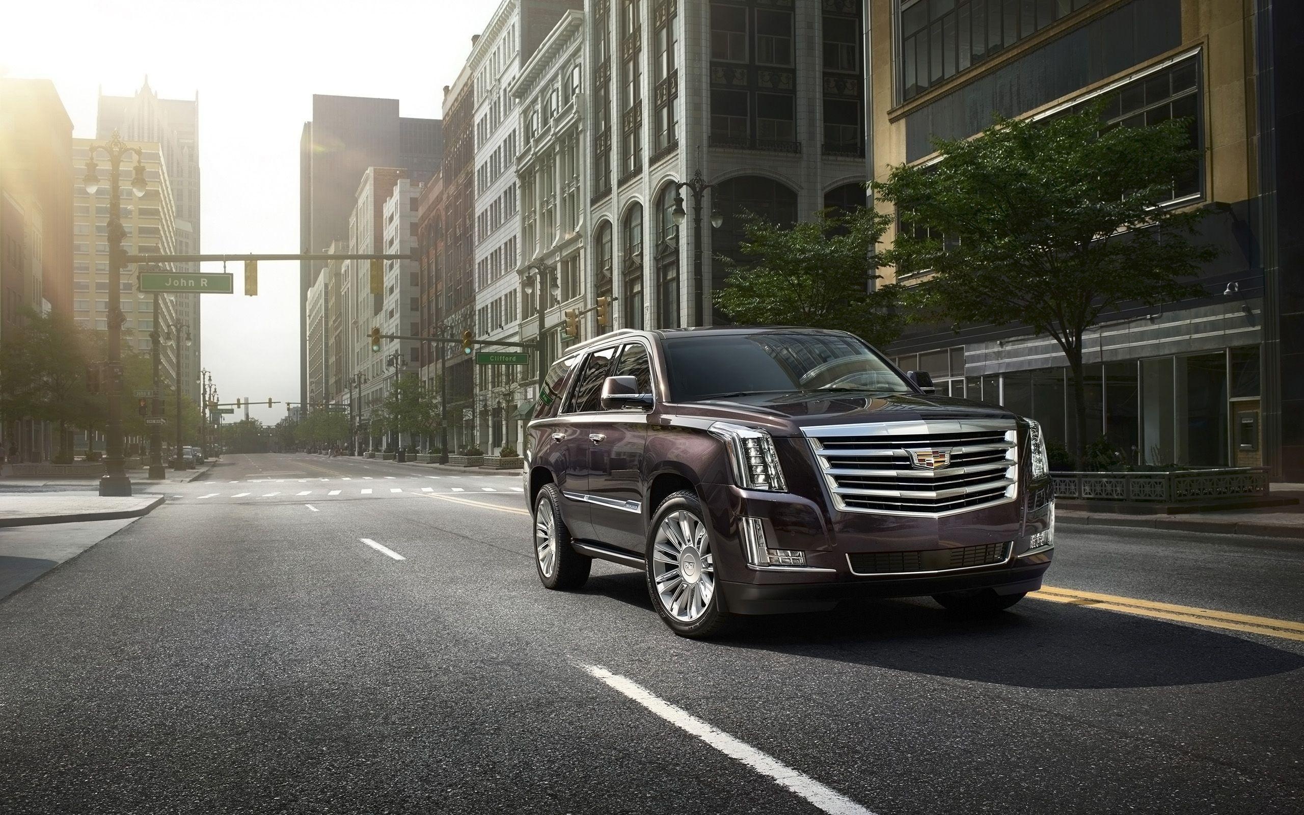 Cadillac Escalade, Luxury SUV, Pickootech review, New model, 2560x1600 HD Desktop