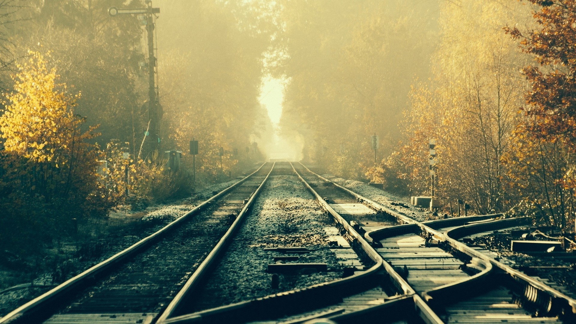 Railway, Sunlit landscapes, Tranquil forests, Majestic tracks, 1920x1080 Full HD Desktop