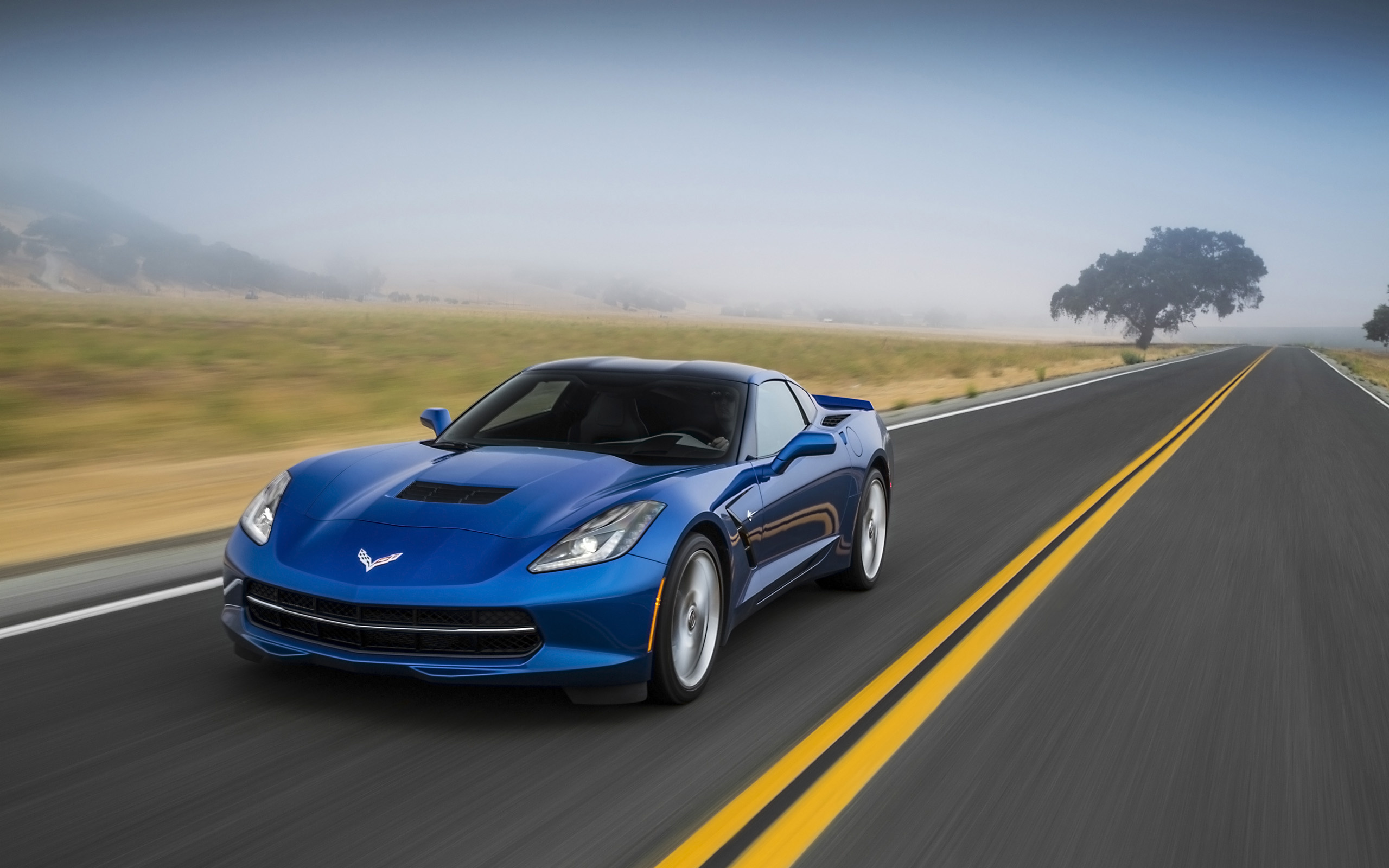 Corvette: Stingray C7, American supercar, A sports car equipped with a supercharged engine. 2560x1600 HD Wallpaper.