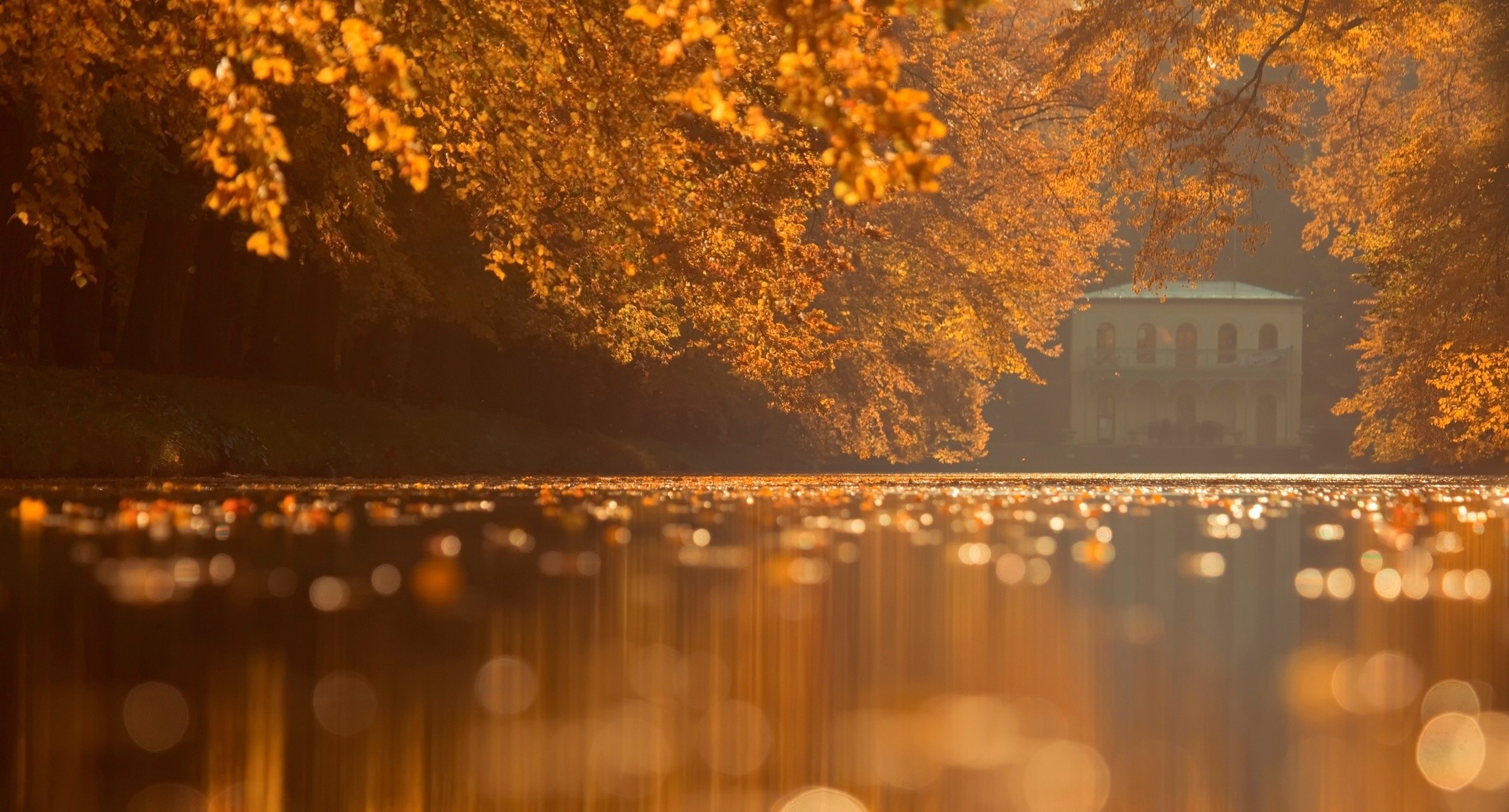 Autumn splendor, Fiery foliage, Wind's whisper, Gold-adorned trees, Gentle decay, 2200x1190 HD Desktop