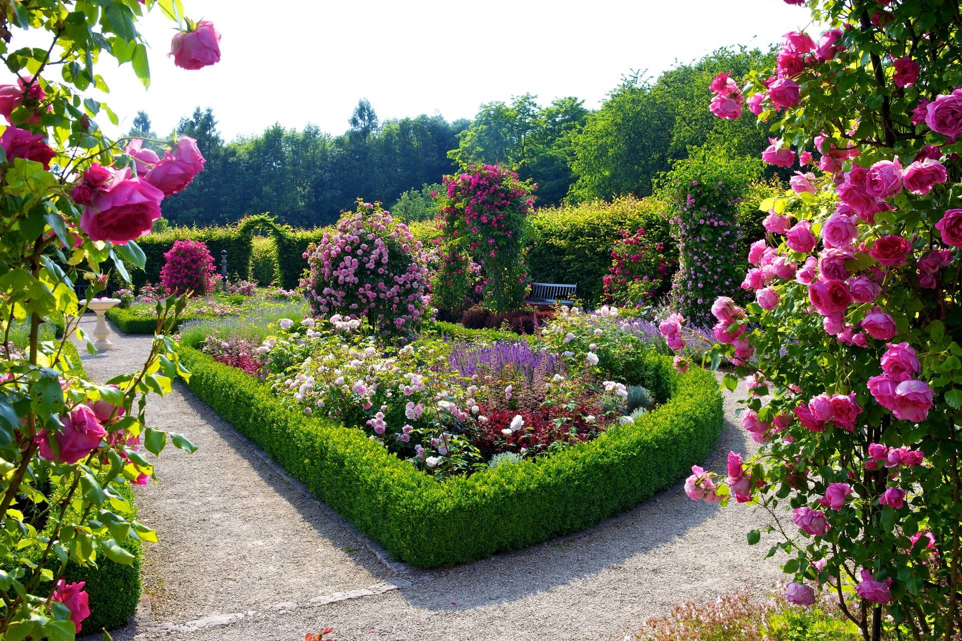 Flower garden marvels, Floral beauty, Nature's palette, Delightful colors, 1920x1280 HD Desktop