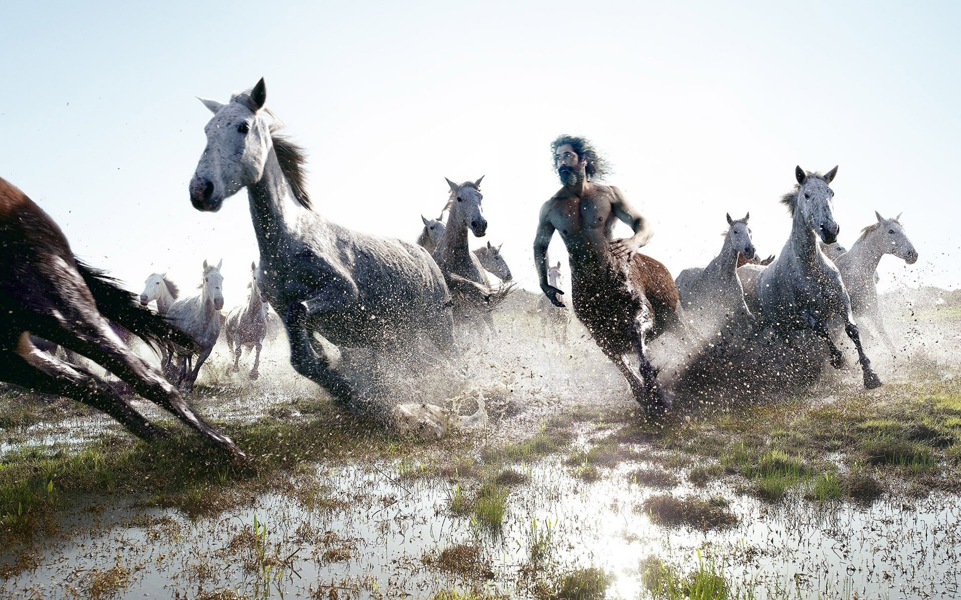 Running centaur, Majestic horses, HD wallpapers, Dynamic movement, 1920x1200 HD Desktop