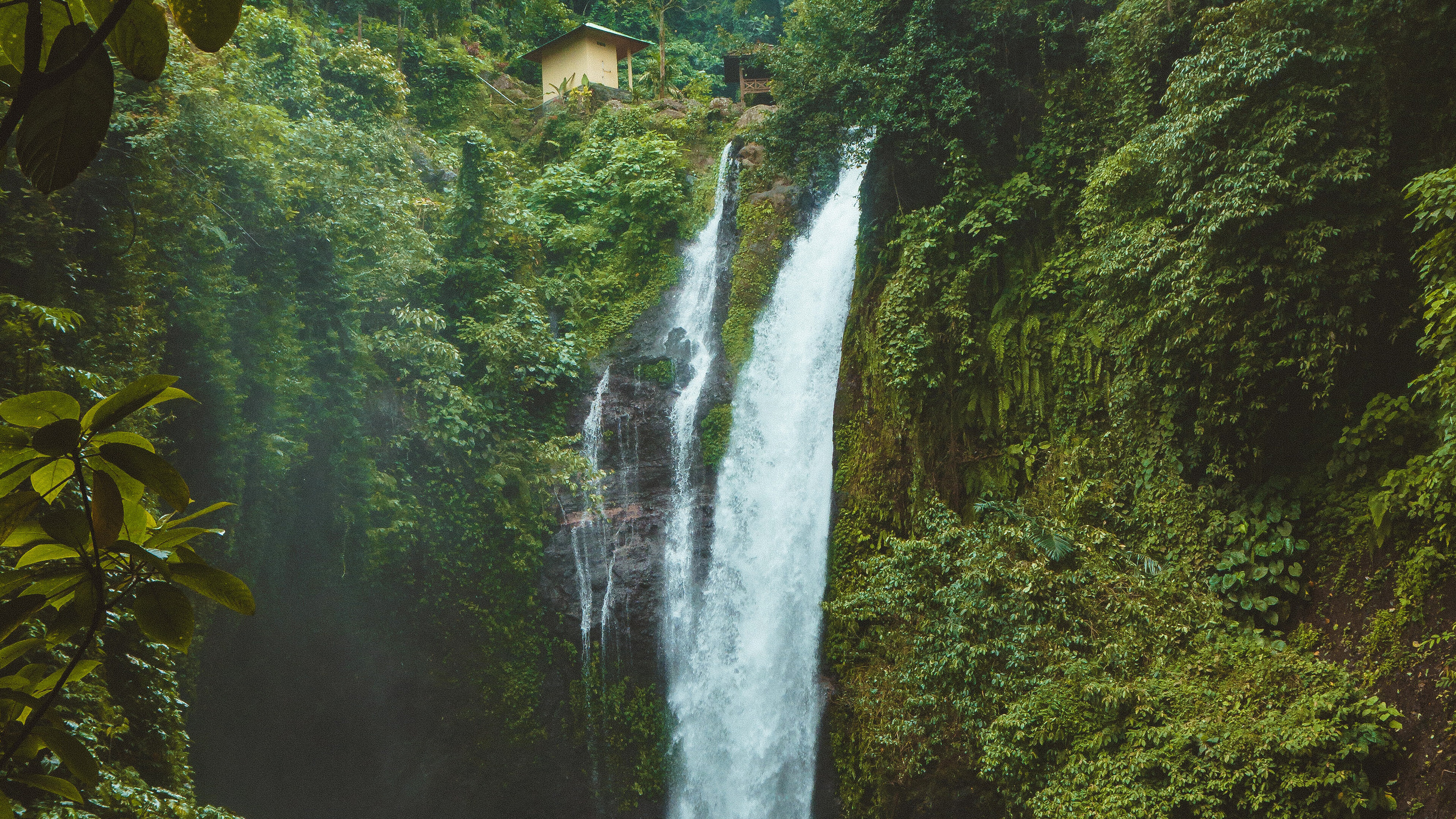 Rainforest: Waterfall, River, Nature, Jungle, Natural surroundings. 3840x2160 4K Wallpaper.