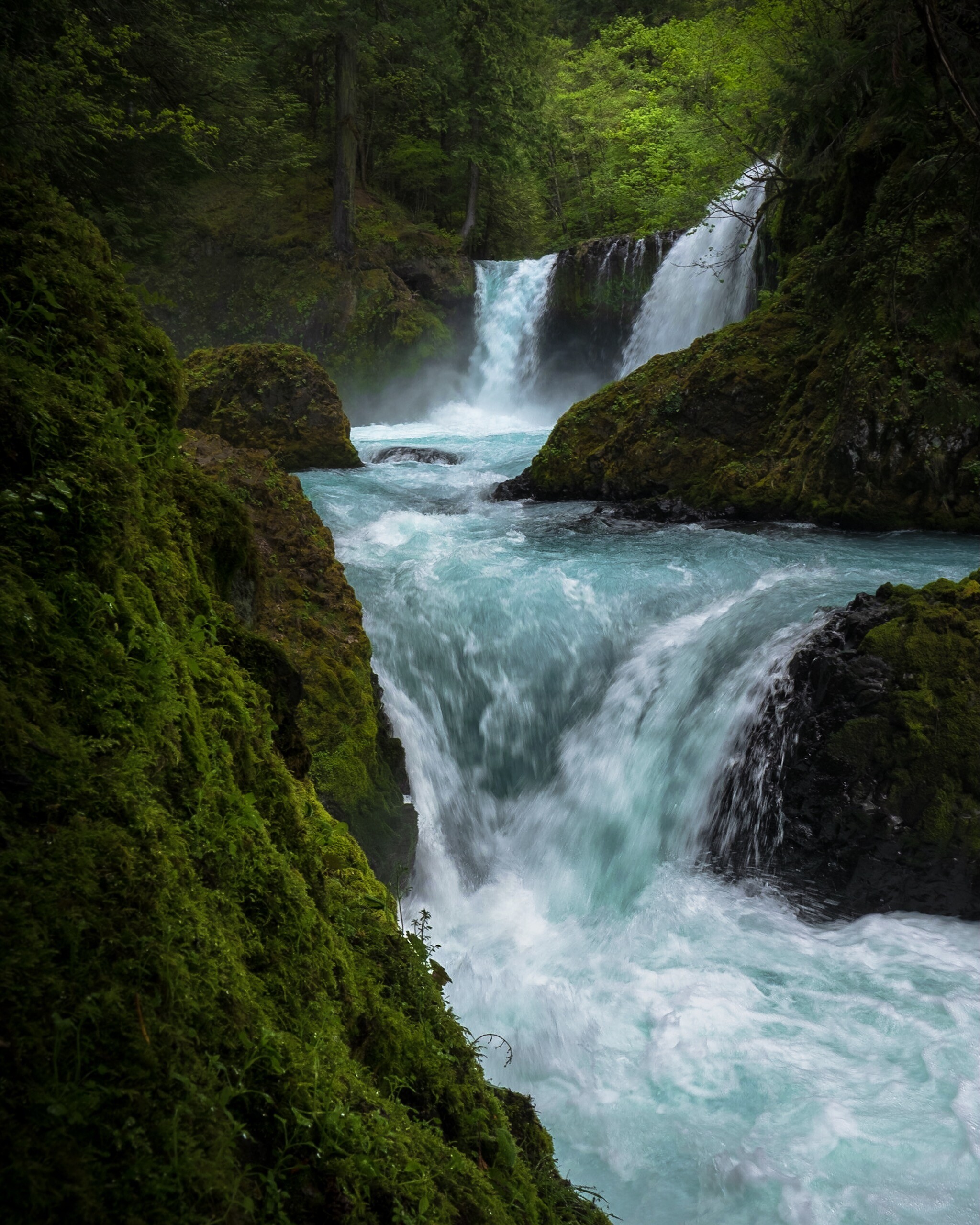 Waterfall: Flowing Spring, Spirit Falls Trail, Washington. 2050x2560 HD Wallpaper.