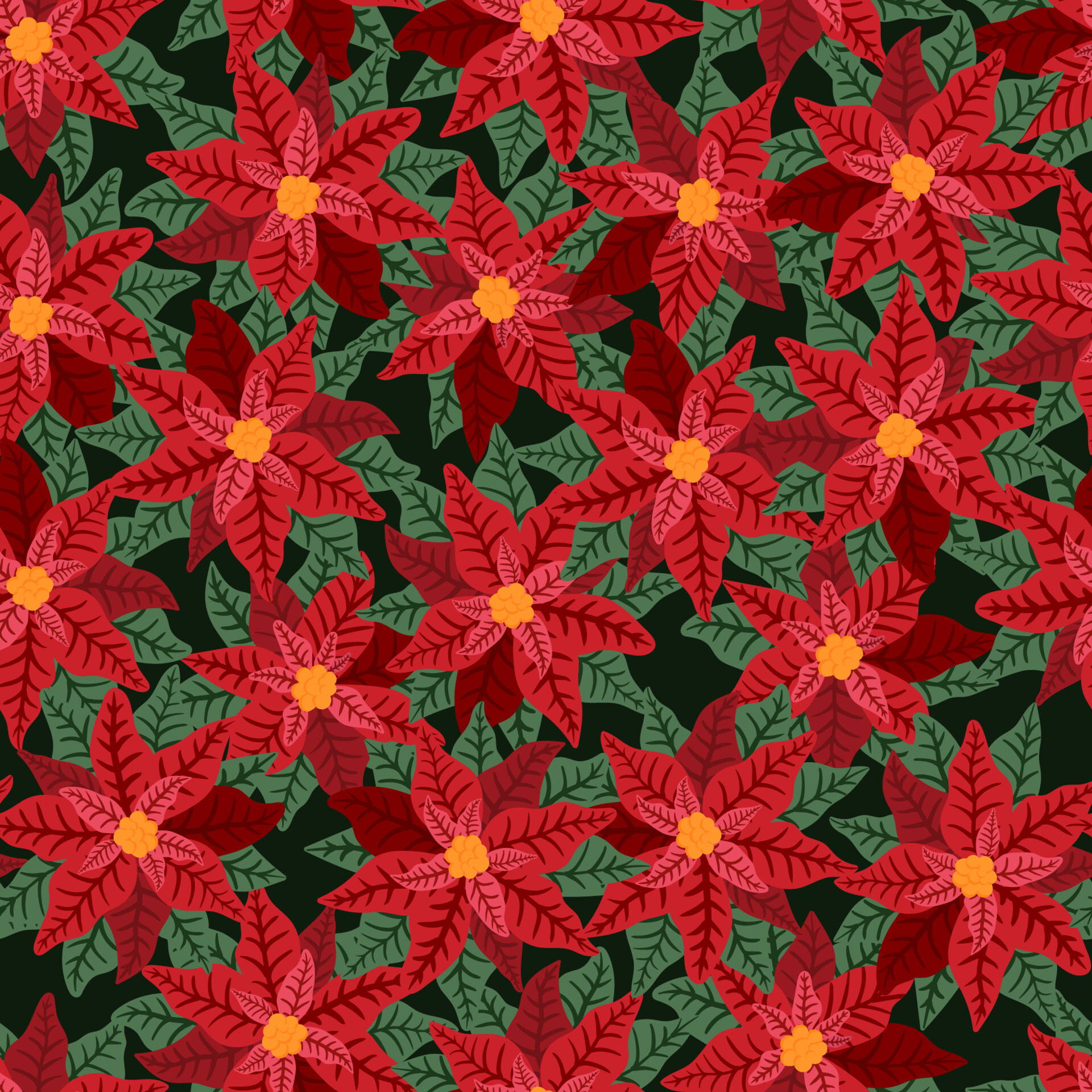 Poinsettia: The colored bracts are often mistaken for flower petals because of their groupings and colors, but are actually leaves. 1920x1920 HD Background.