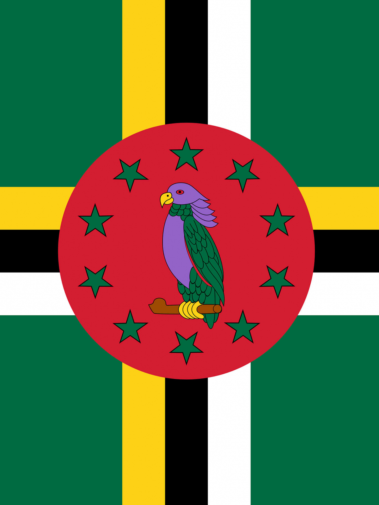 Dominica flag, Symbol of pride, National identity, Patriotic spirit, 1540x2050 HD Phone