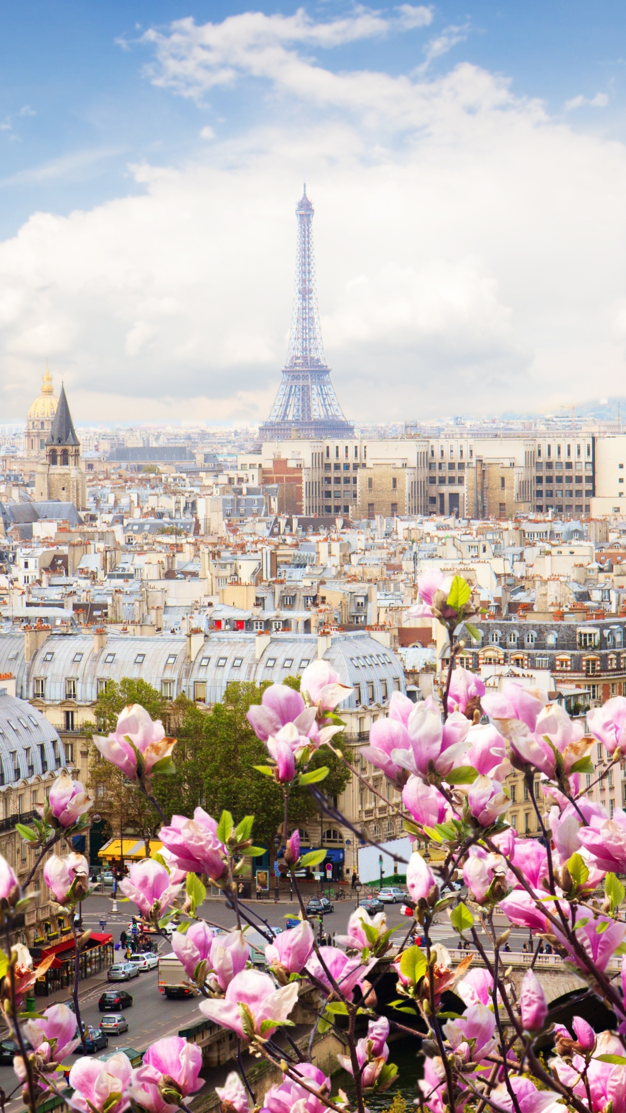 Paris Skyline, Travels, Eiffel Tower, Beautiful Flowers, 2160x3840 4K Phone