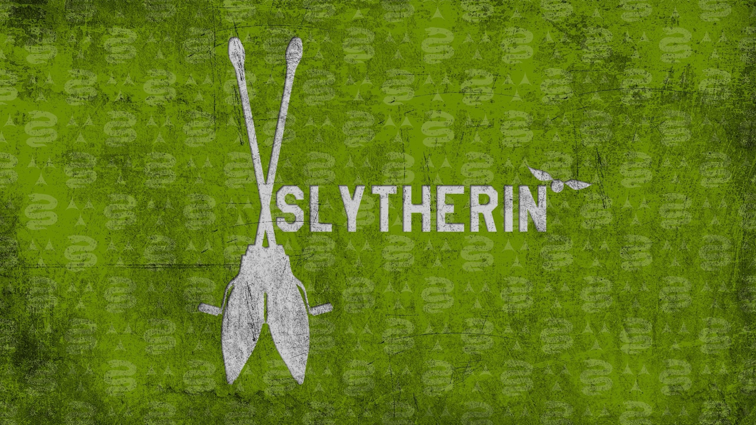 Slytherin Quidditch wallpapers, House spirit, Ambitious players, Quidditch pitch, 2560x1440 HD Desktop