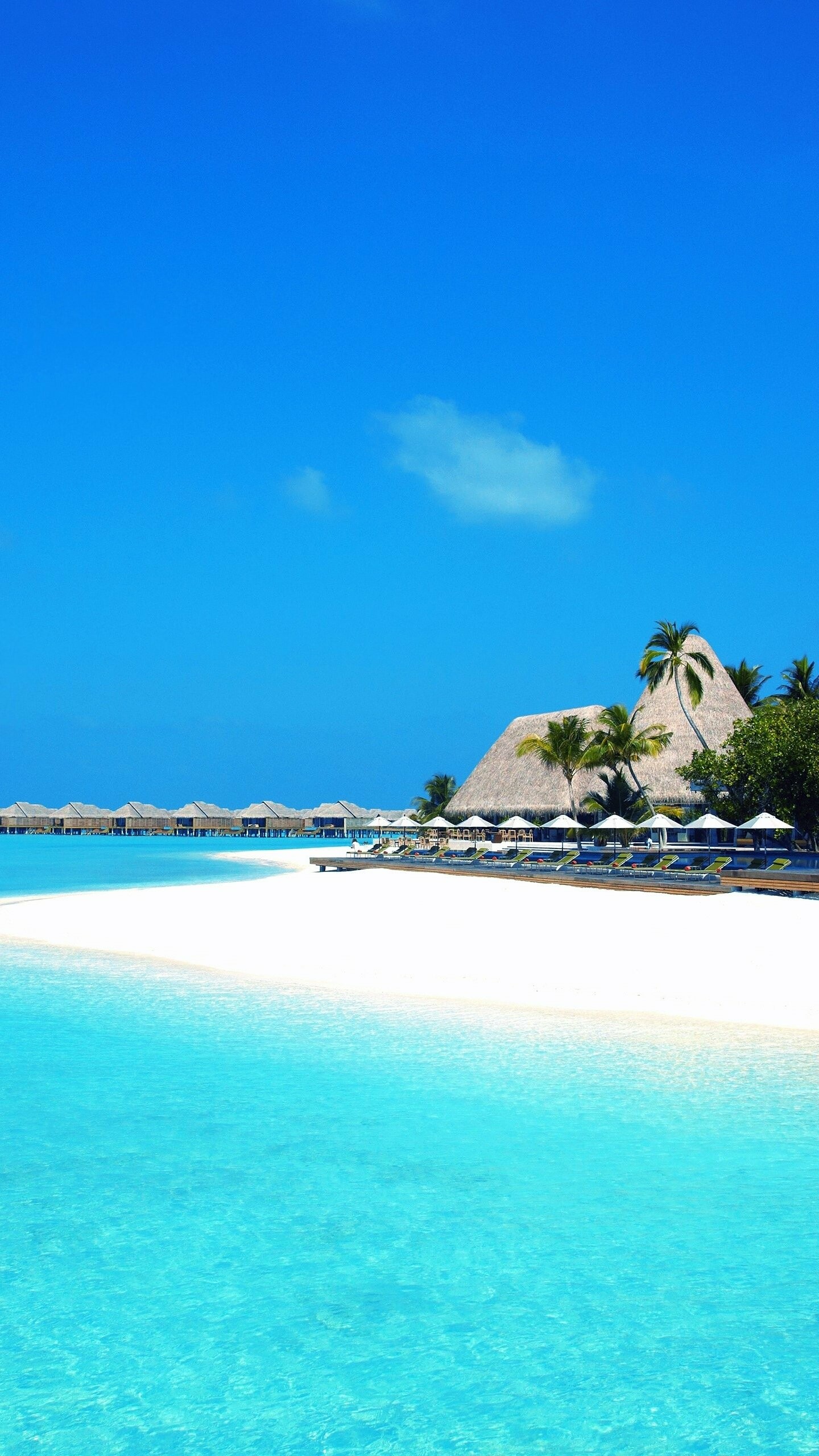 Man-made resort, Tropical paradise, Luxury escape, Stunning views, 1440x2560 HD Phone
