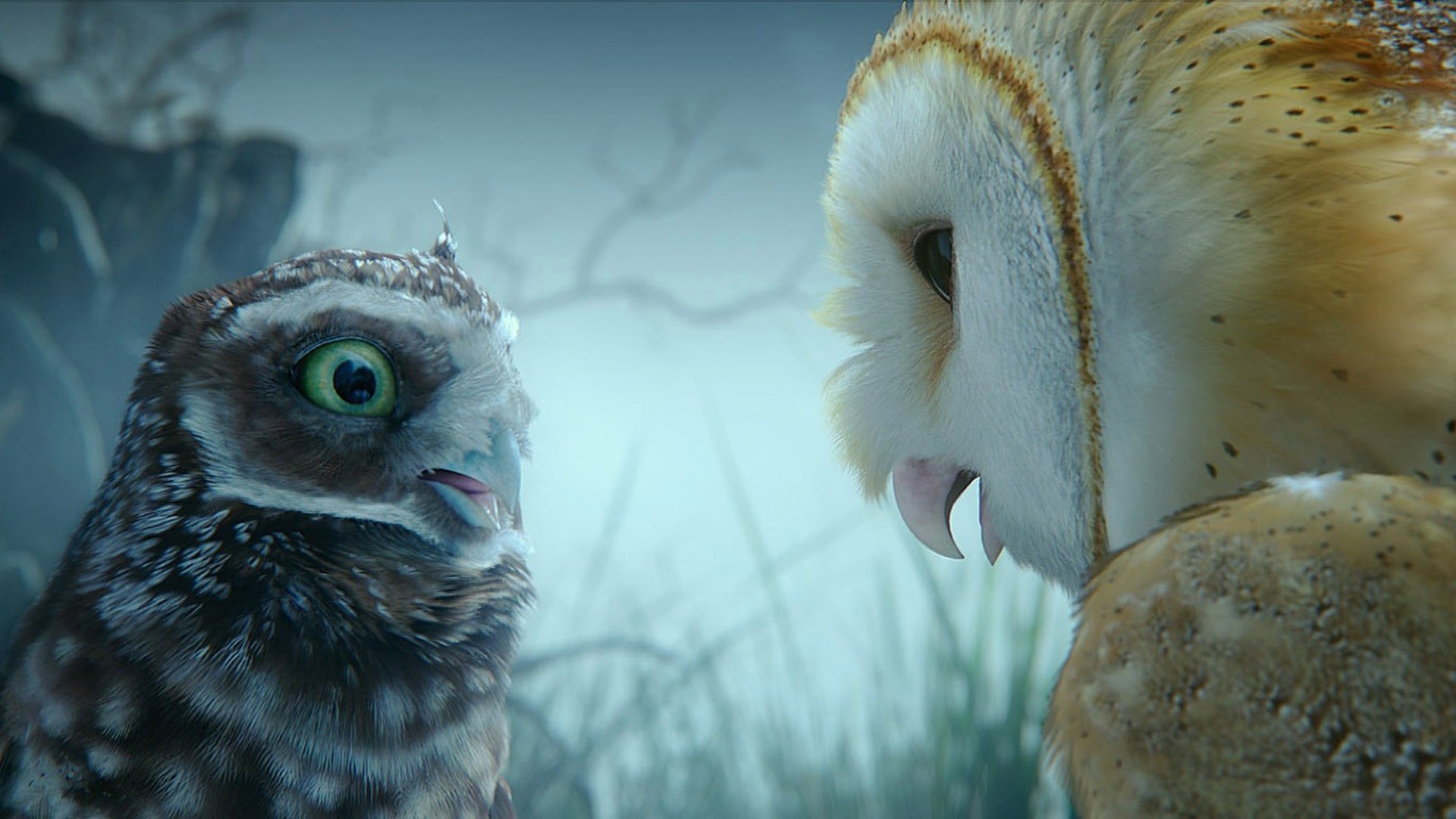 Legend of the Guardians: The Owls of Ga'Hoole, Exciting animation, Captivating adventure, Heroic owls, 1920x1080 Full HD Desktop