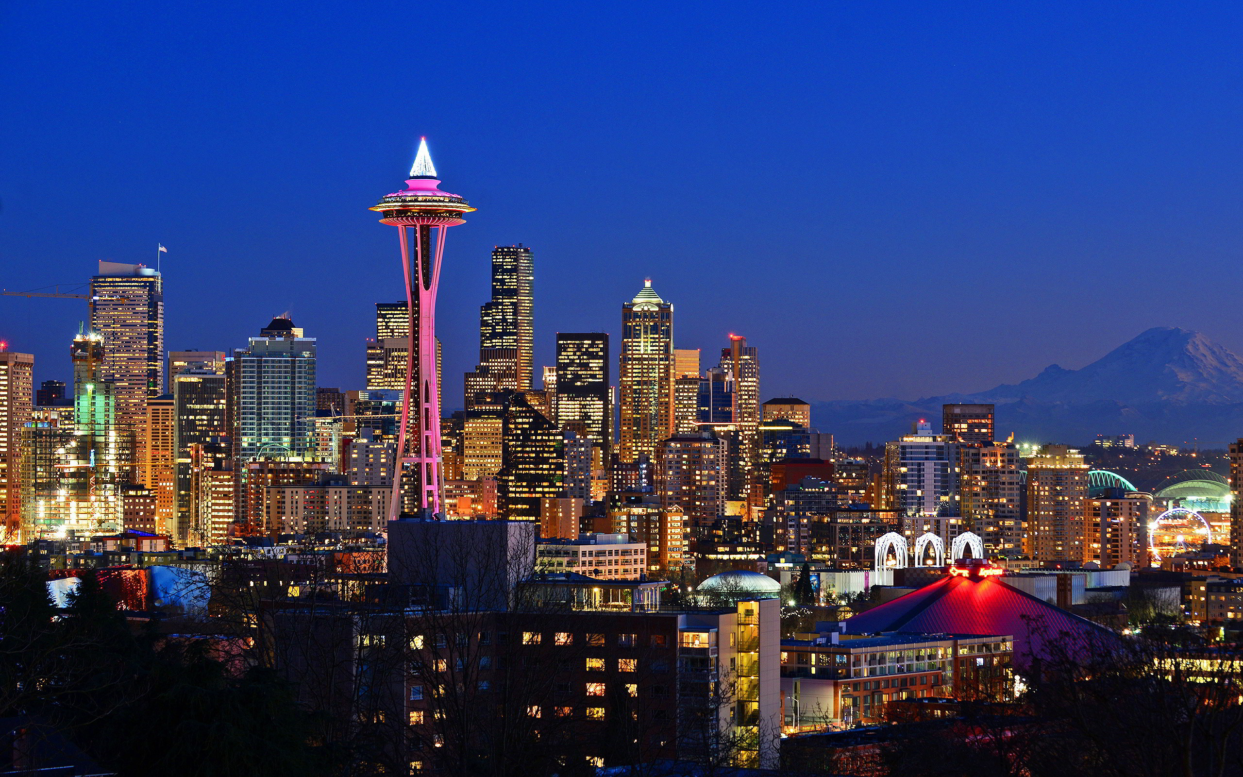 Seattle Skyline, Skyline's allure, Captivating view, Urban beauty, 2560x1600 HD Desktop