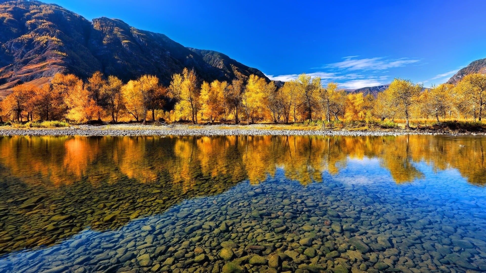 Altai Mountains, Yellow Leafed Tree, Nature Landscape, Reflection, 1920x1080 Full HD Desktop