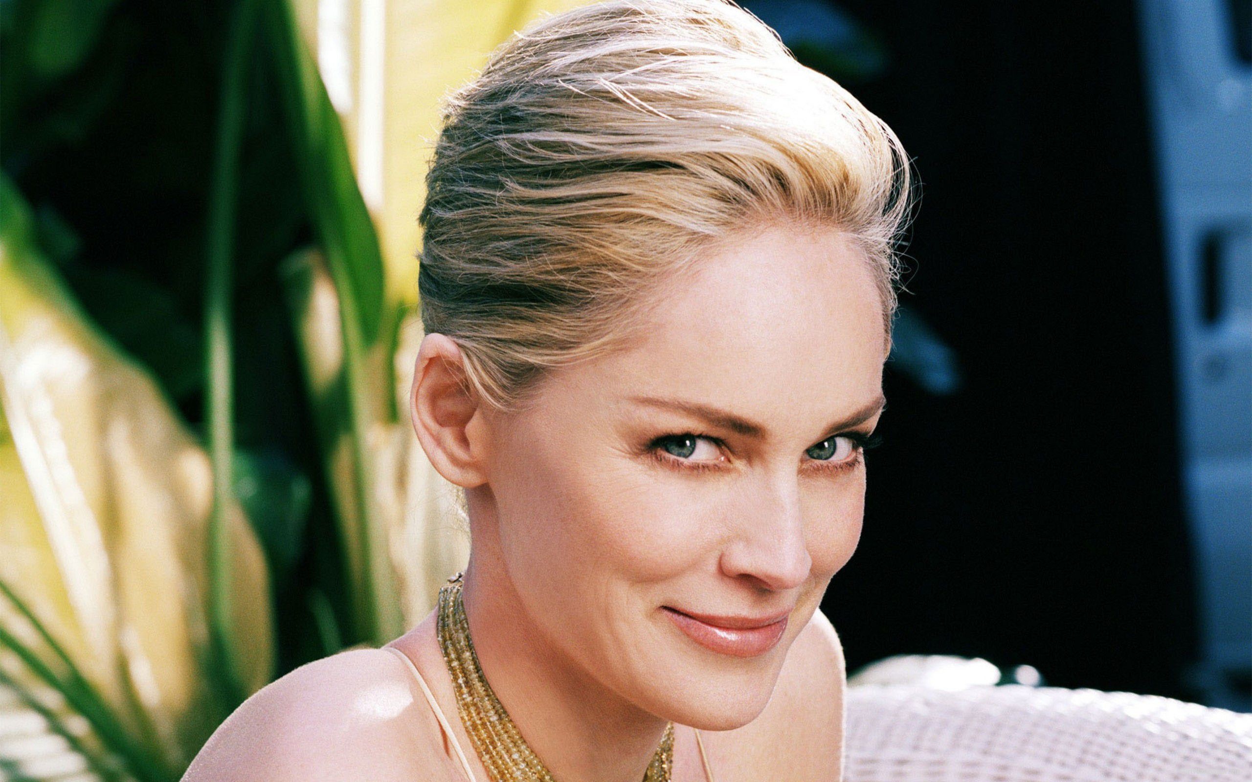 Sharon Stone, Stunning wallpapers, Michelle Johnson's collection, Movie enchantment, 2560x1600 HD Desktop