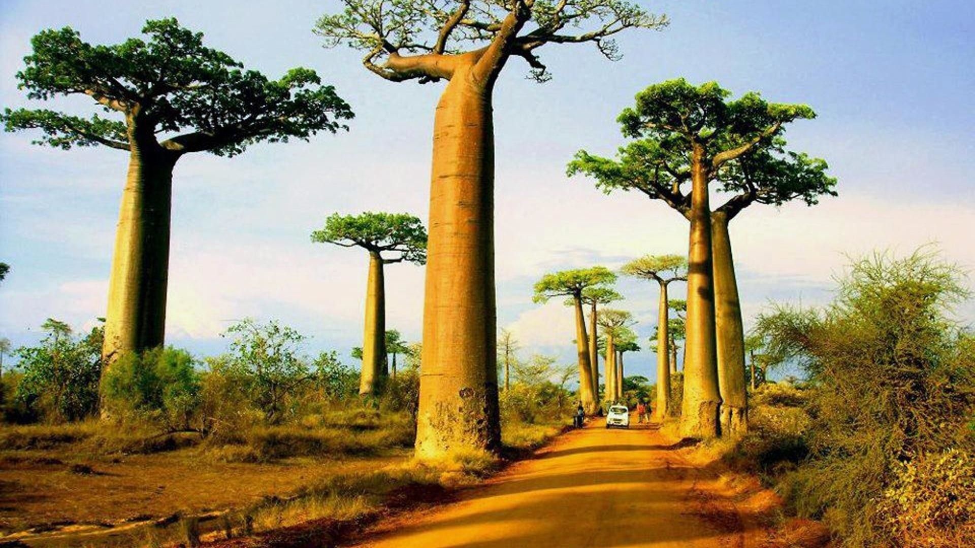 Madagascar Scenery, 4K HD, Breathtaking Landscapes, Nature's Magnificence, 1920x1080 Full HD Desktop