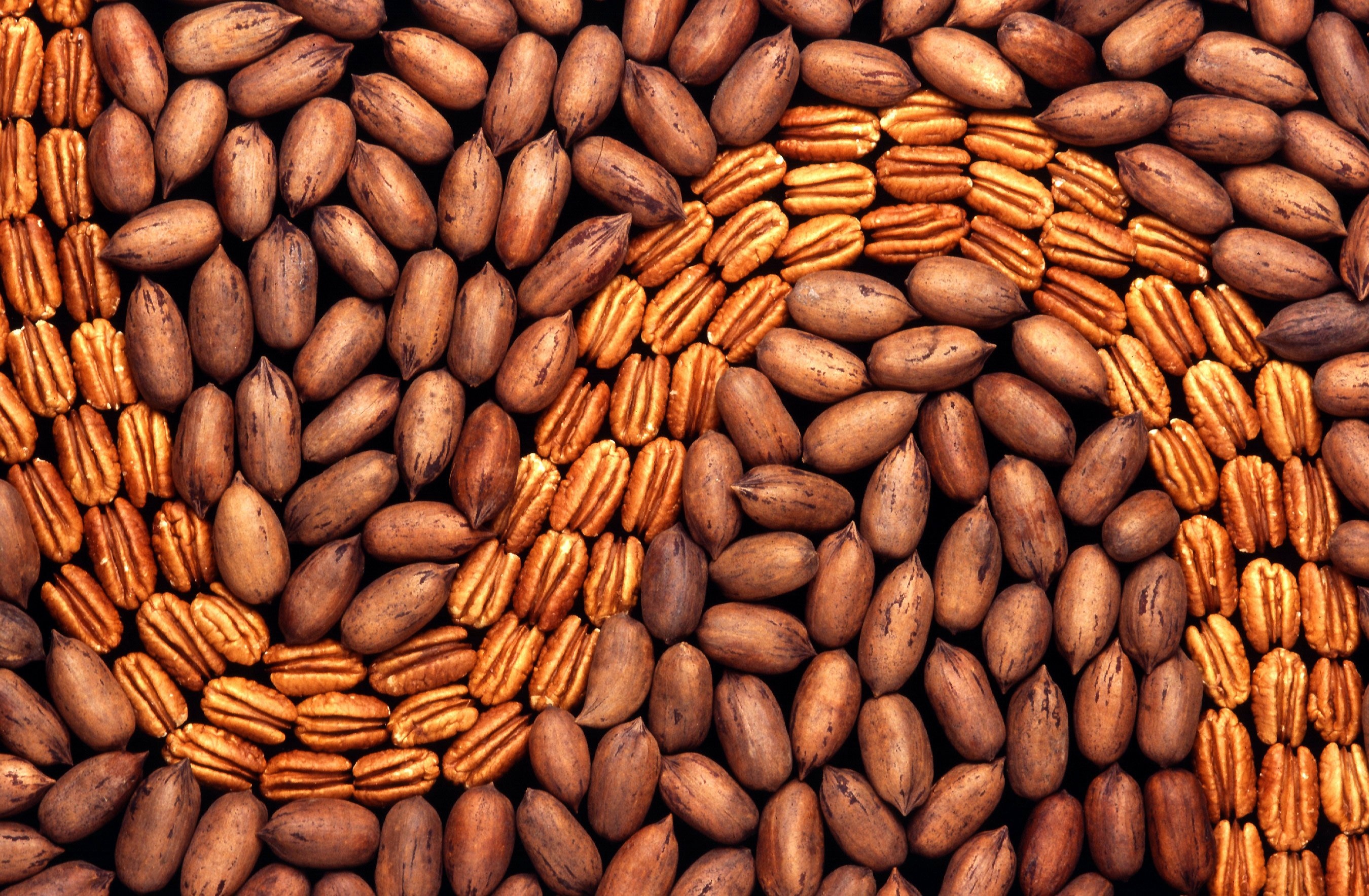 Pecans: One of the most valuable North American nut species. 2700x1770 HD Wallpaper.