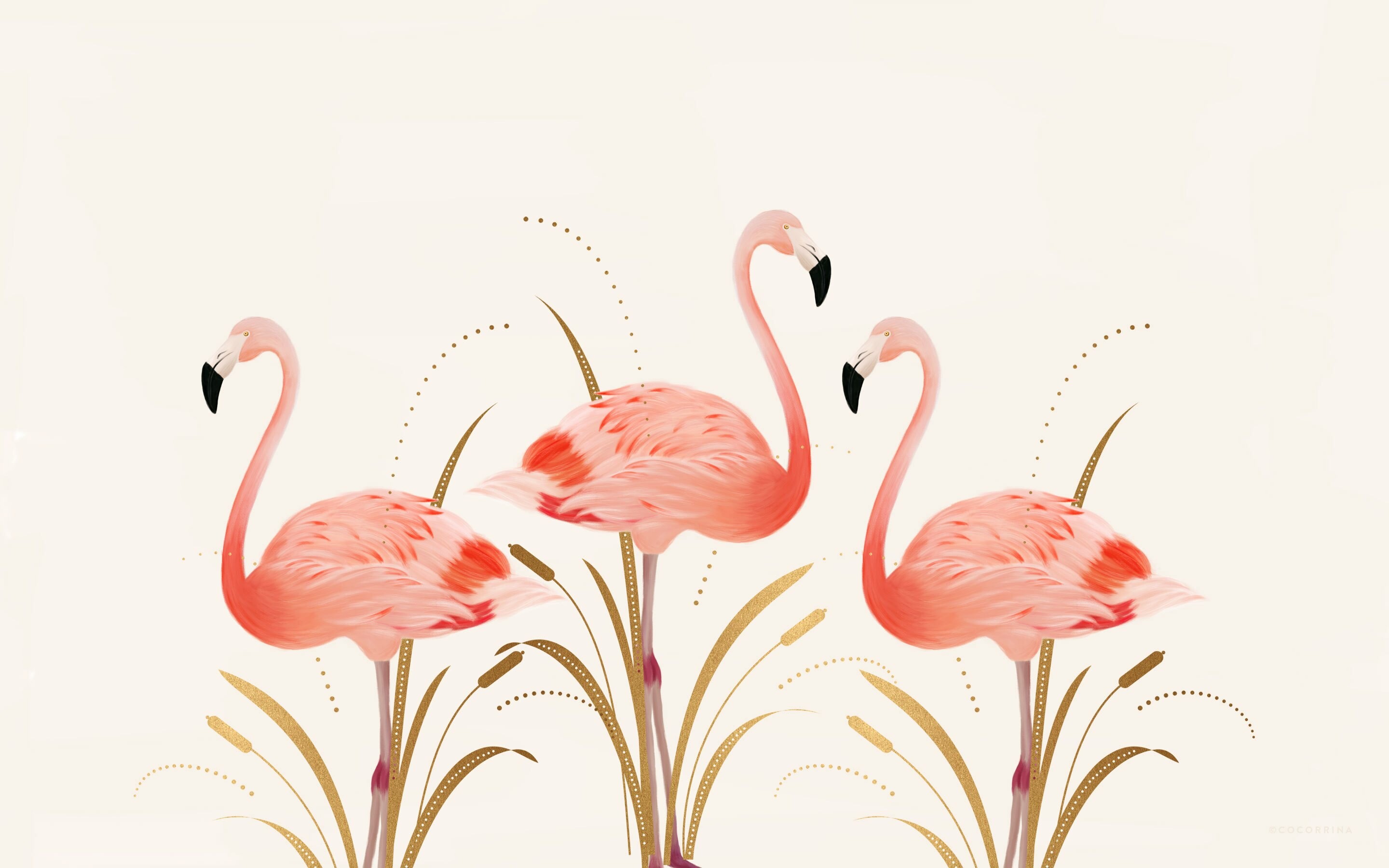 Flamingo: Large birds that are identifiable by their long necks, sticklike legs and pink or reddish feathers. 2880x1800 HD Wallpaper.