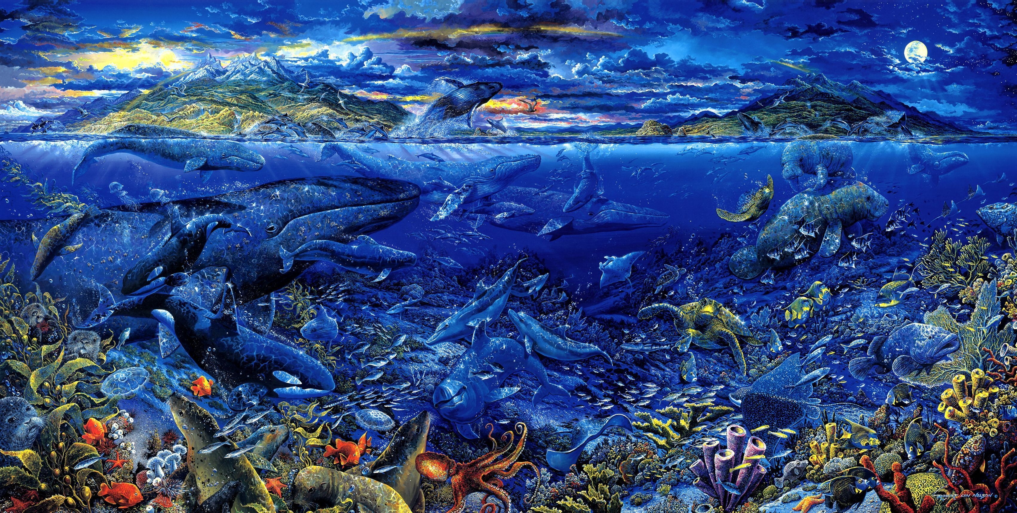 Sea life wallpapers, Deep sea creatures, Underwater wonder, Vibrant marine, 3410x1720 HD Desktop