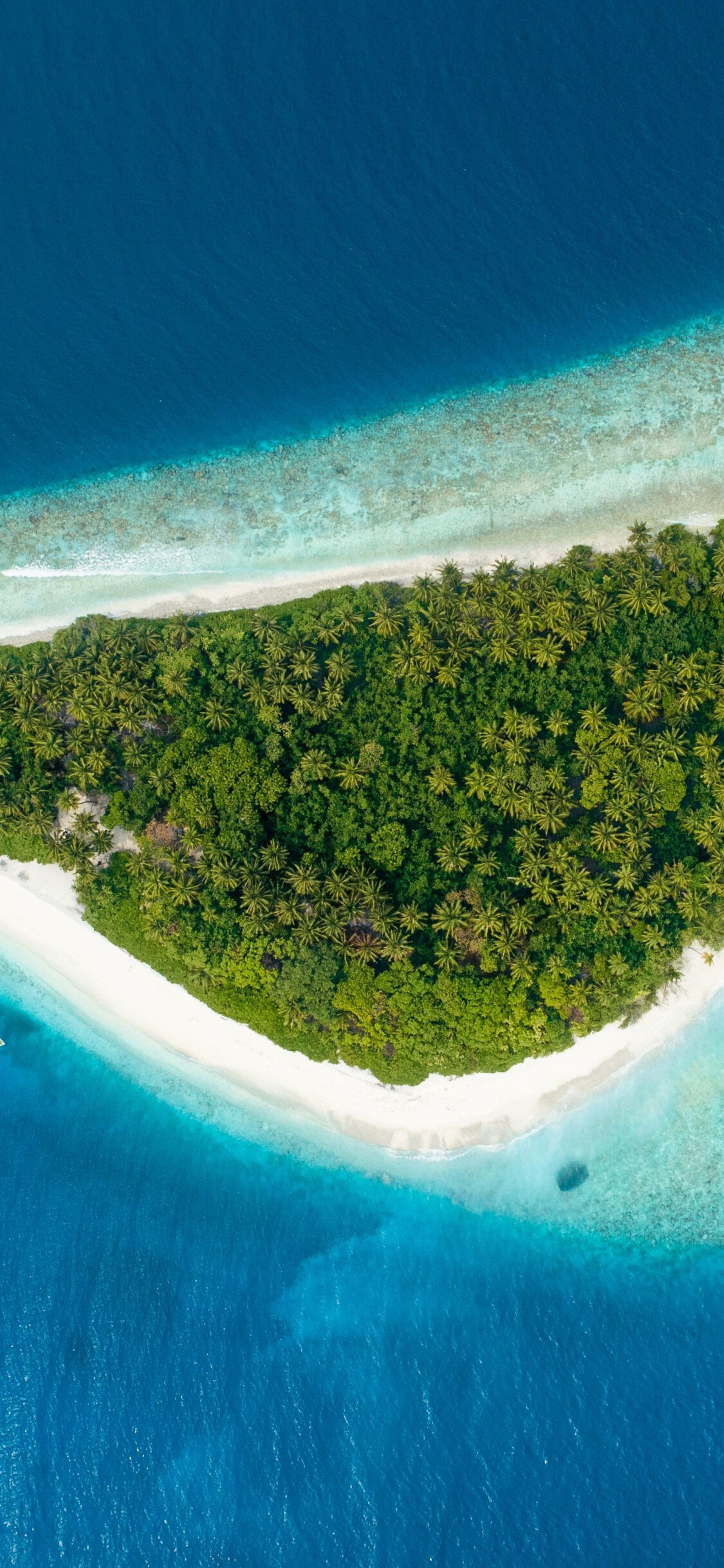 Island: Aerial shot, Nature, Sea, Tropical paradise, Beach. 1130x2440 HD Background.