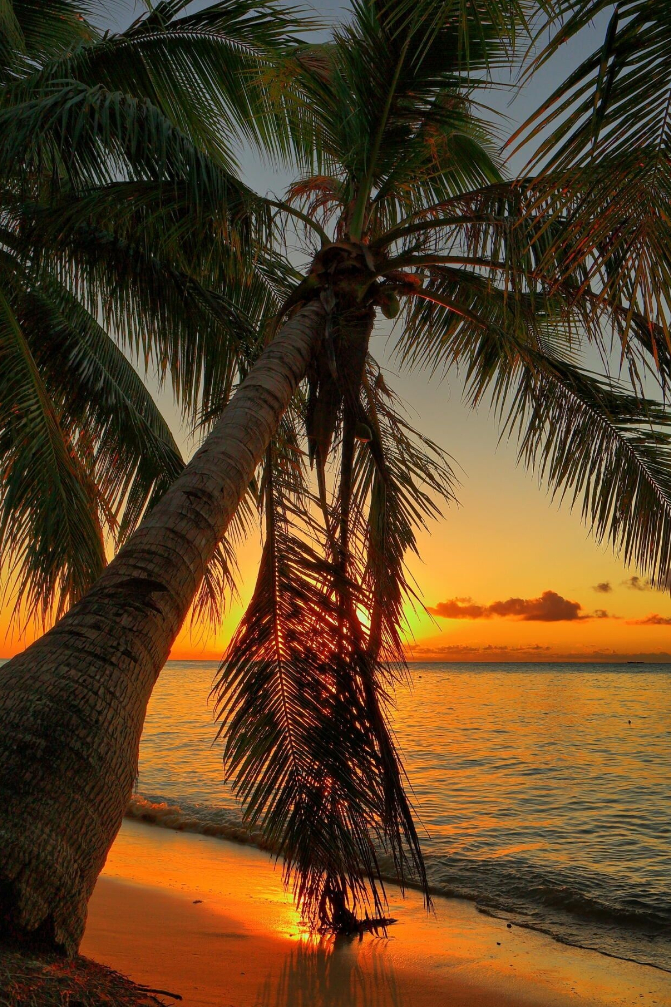Saipan sunset, 4K wallpapers, Tranquil backgrounds, Breathtaking beauty, 1370x2050 HD Phone