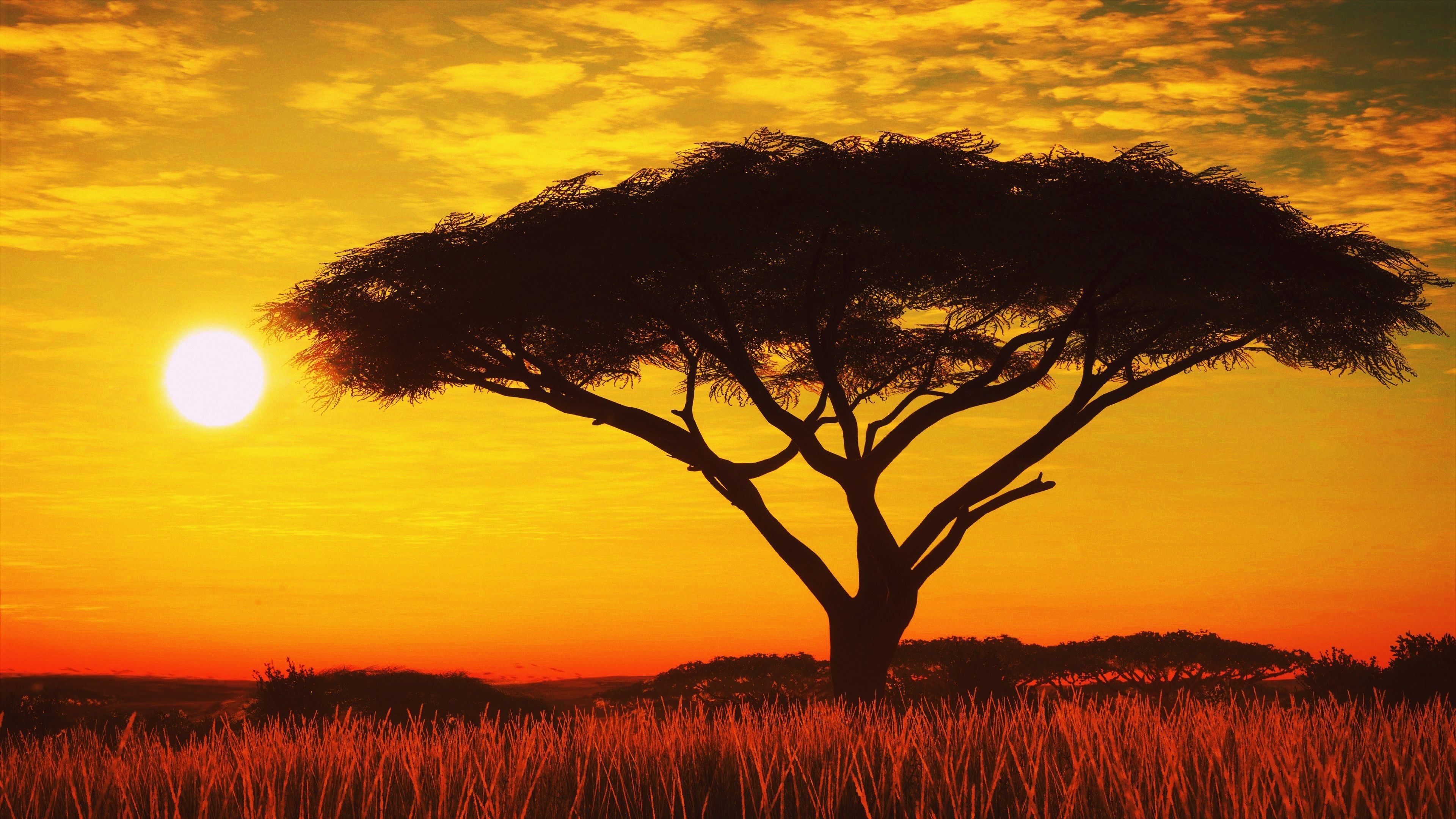 Atemberaubende Serengeti-Landschaftstapeten, 3840x2160 4K Desktop