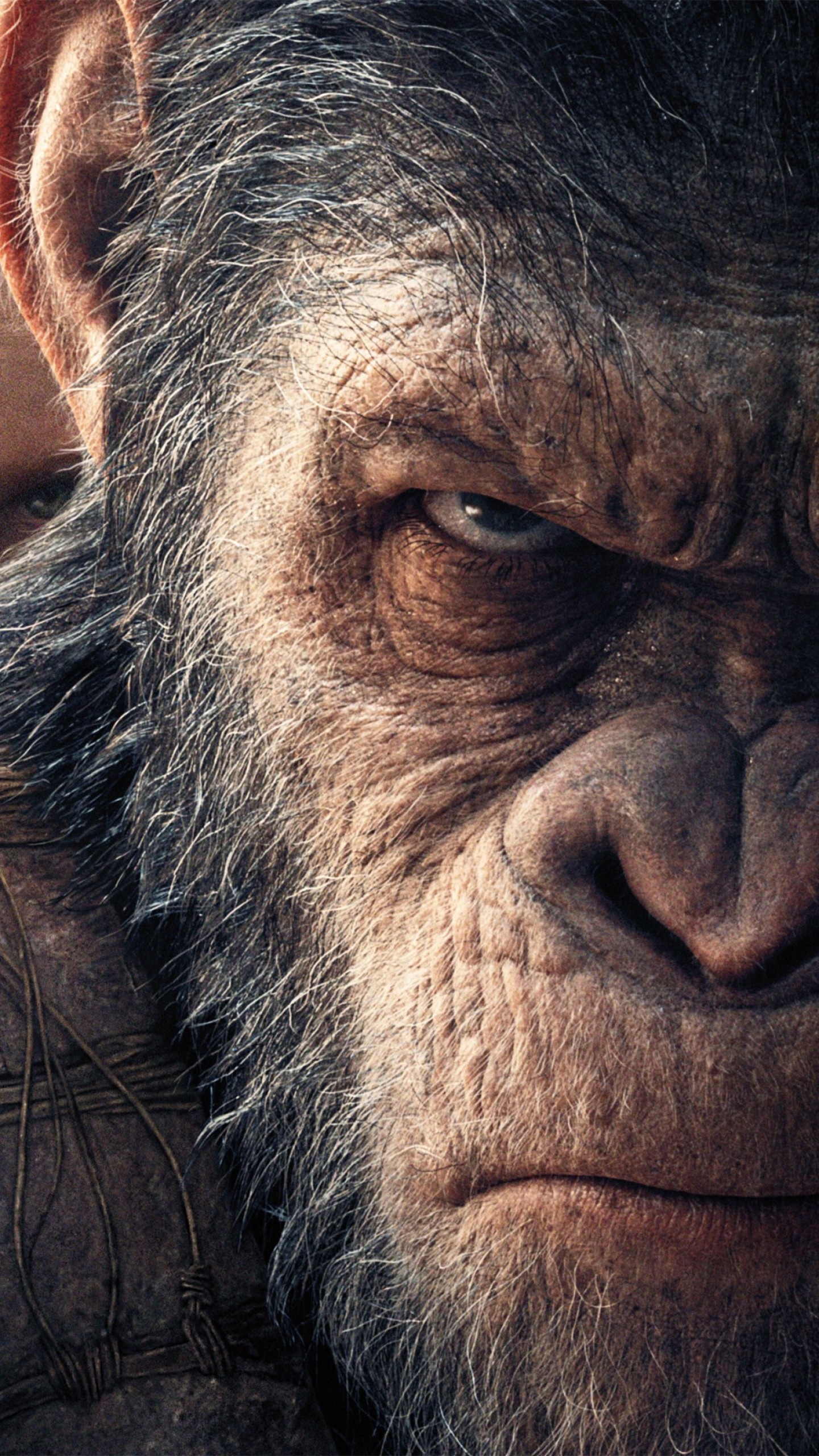 War for the Planet, Apes movies, 4K movies, 14079, 1440x2560 HD Handy