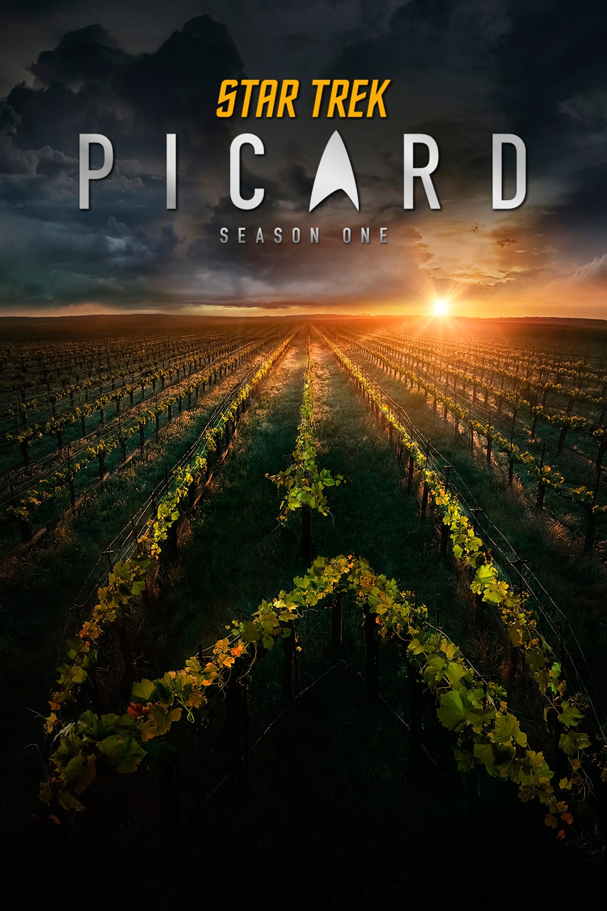 Star Trek: Picard, 2020 Posters, Movie Database TMDB, 2000x3000 HD Handy