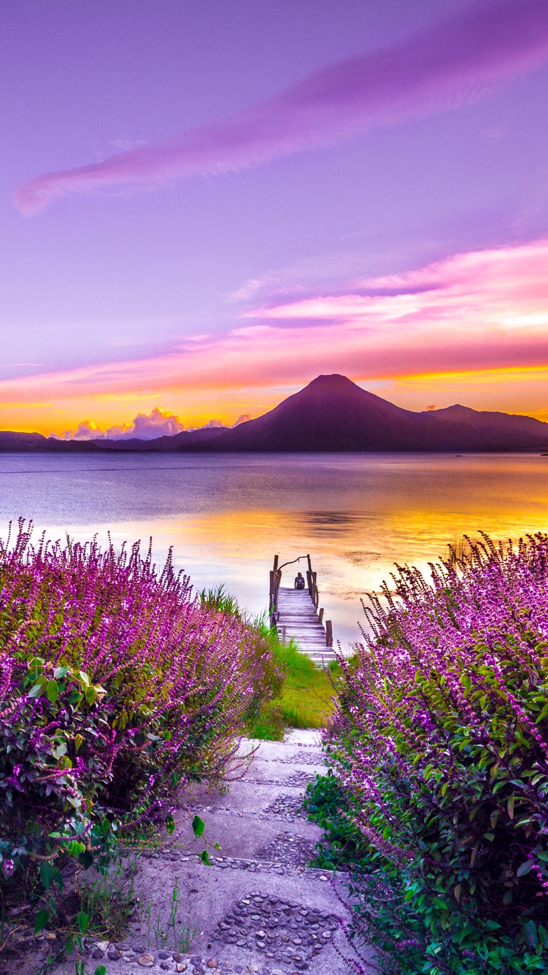 Volcano sunset flower, Dreamy landscape, 4K HD wallpapers, Serene beauty, 2160x3840 4K Handy