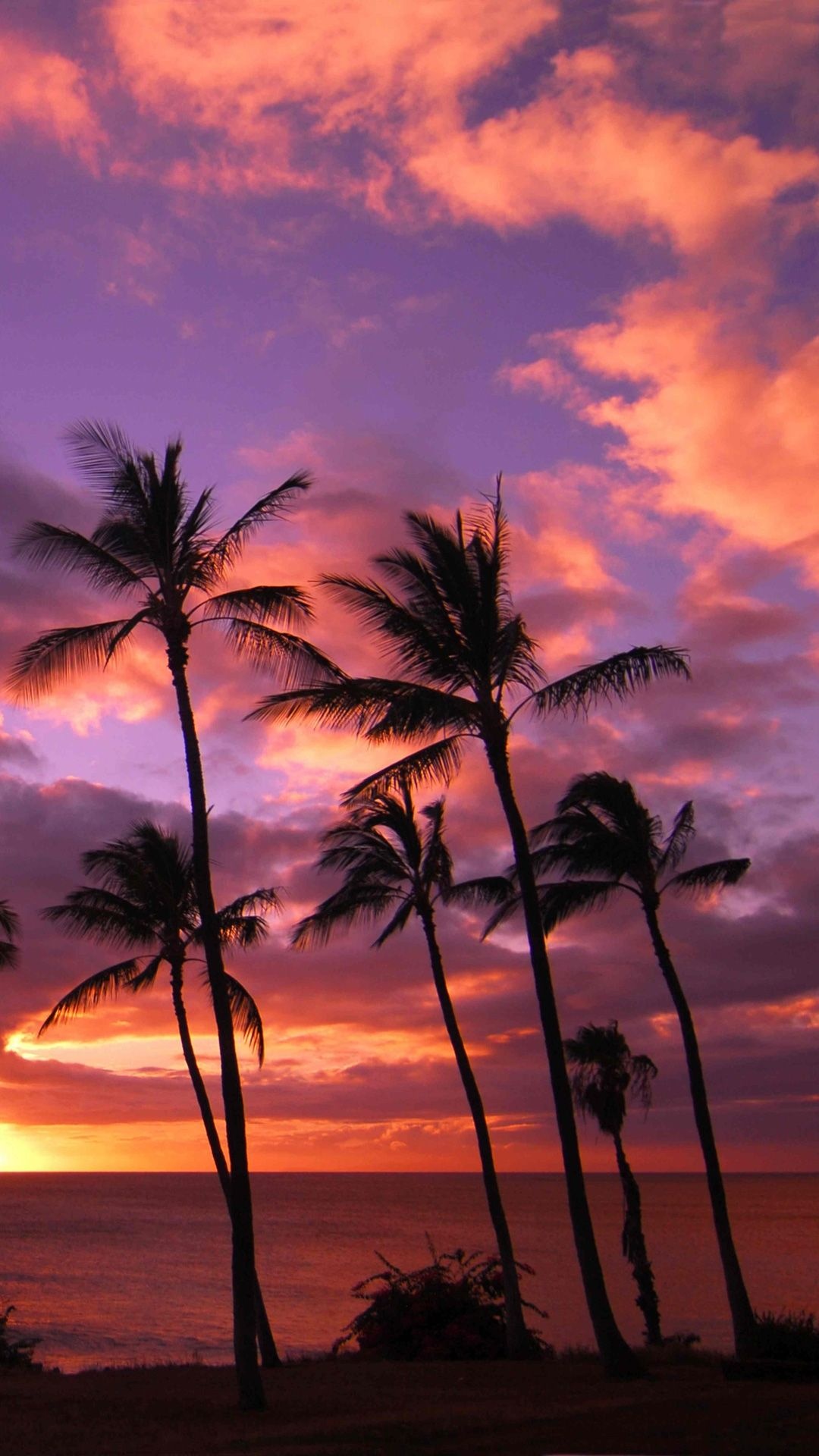 Hawaiian Sunset, HD iPhone wallpapers, Tropical paradise, Hawaii sunset, 1080x1920 Full HD Handy