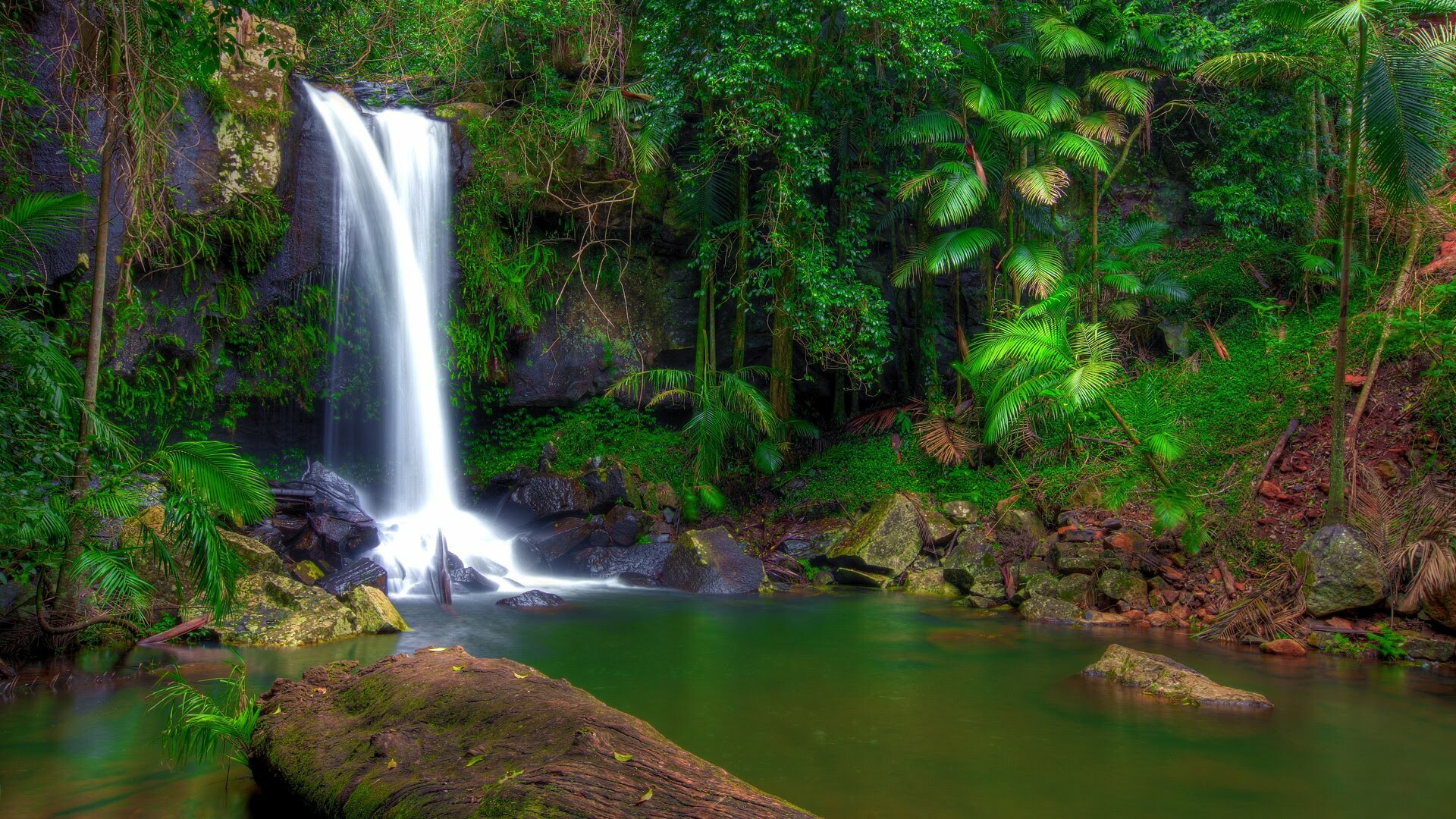Jungle: Tropical waterfall, Green vegetation, Rocks, Rainforest. 1920x1080 Full HD Background.