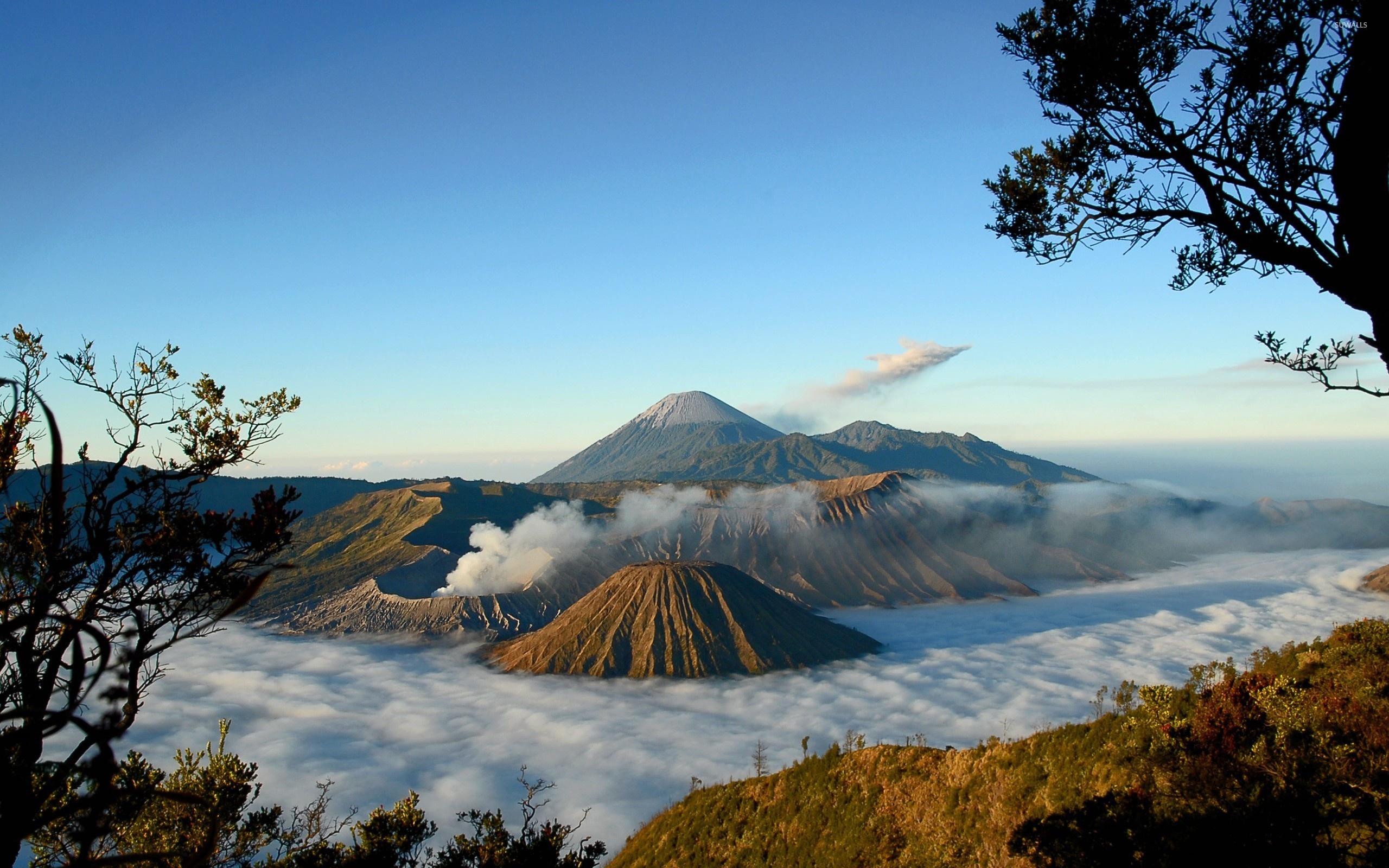 Mount Bromo, Indonesia, Beautiful picture, Travel, 2560x1600 HD Desktop