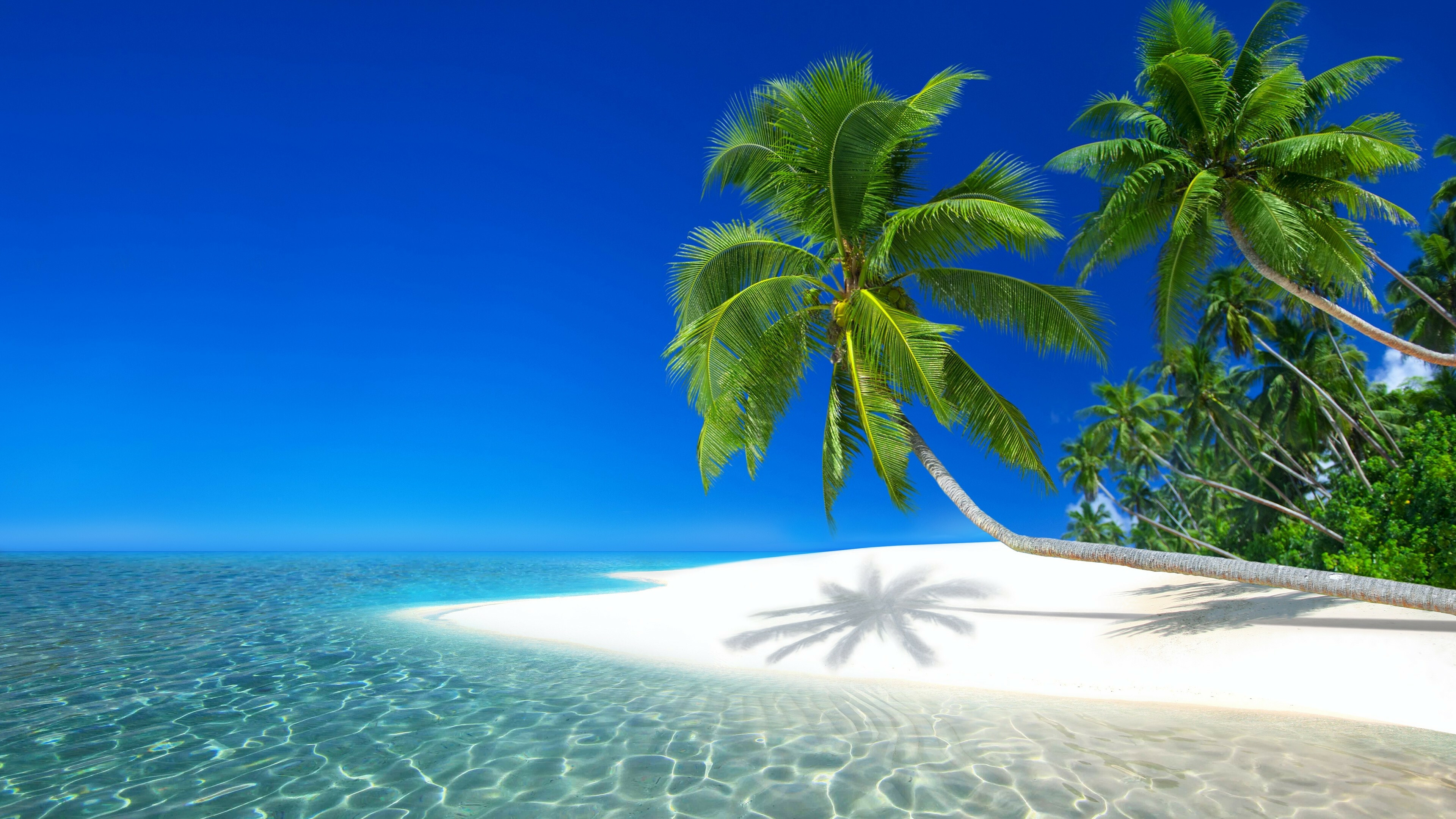 Island: Seychelles resort, Ocean, Beach, Tropics, Palms. 3840x2160 4K Background.