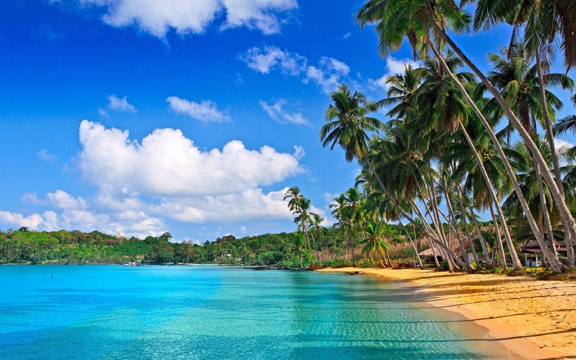 Barbados wallpaper HD, Captivating landscapes, Tropical beauty, Nature's wonders, 1920x1200 HD Desktop