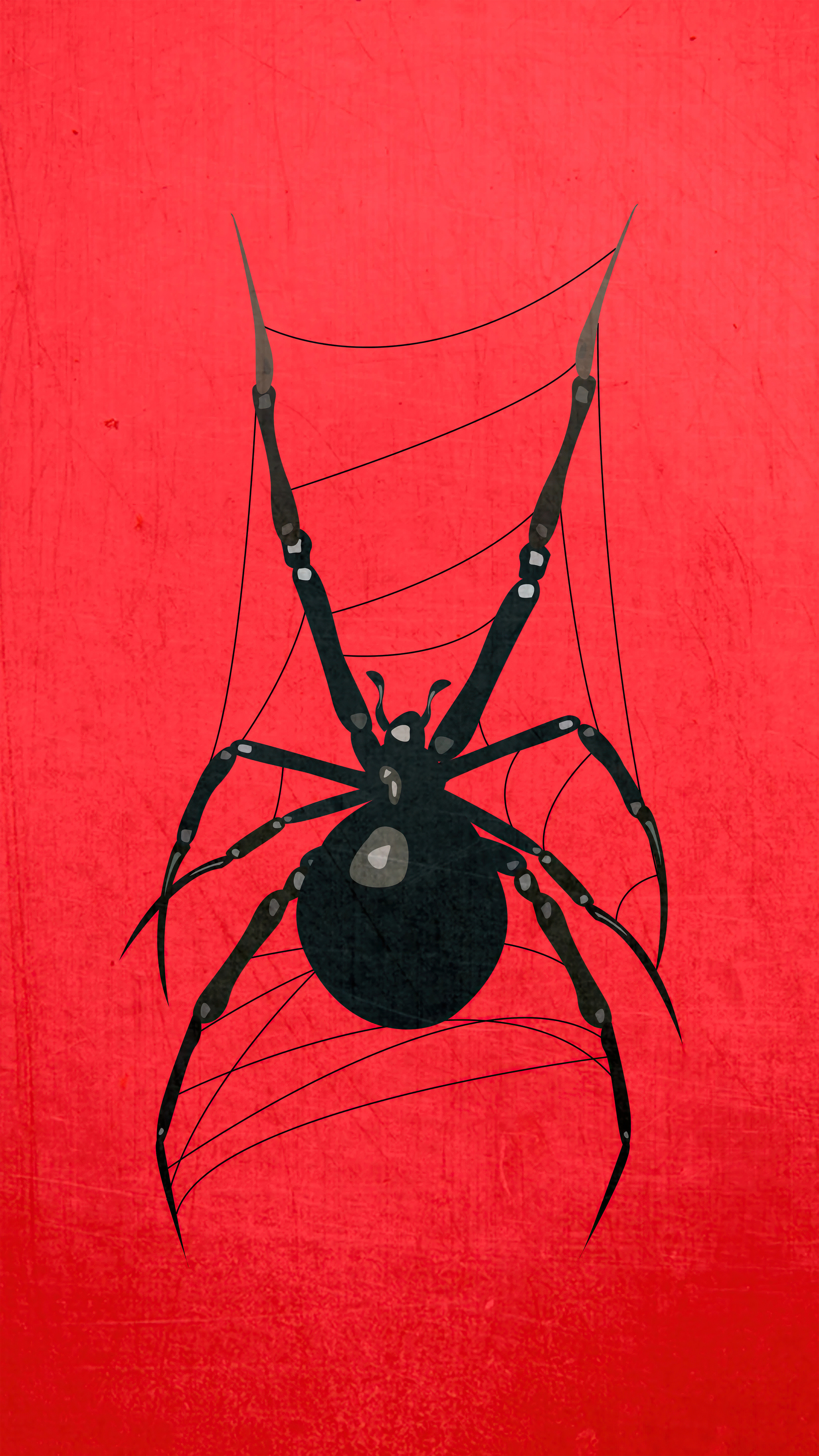 Red spider wallpaper, 5K resolution, HD wallpapers, Vivid arachnids, 2160x3840 4K Phone