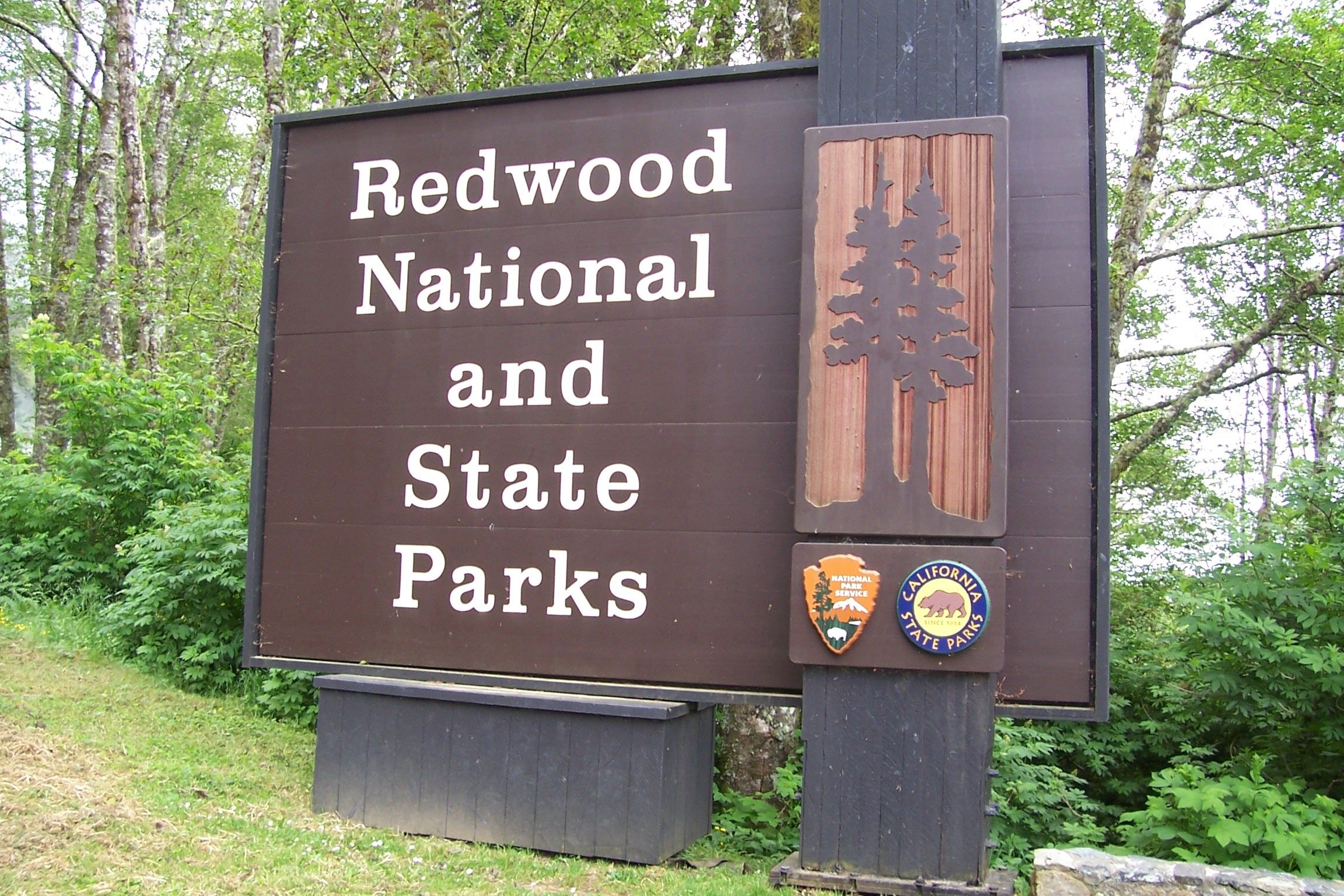 Redwood National Park, California's gem, National park beauty, Nature's sanctuary, 2310x1540 HD Desktop