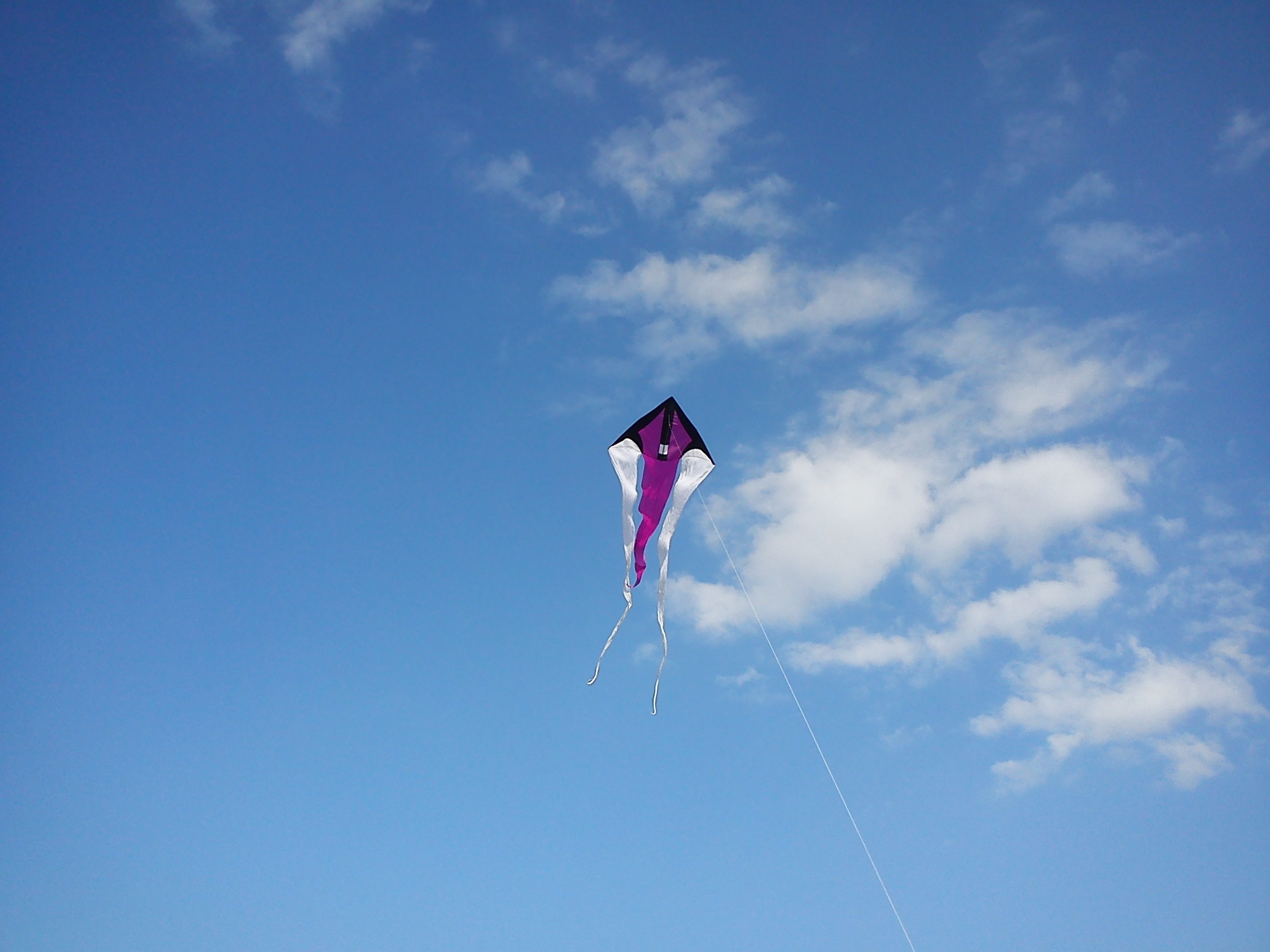 Kite Sports: Kite rise, Deltas, Stable, Easy to handle, Wonderful flyers, Fun. 2600x1950 HD Wallpaper.