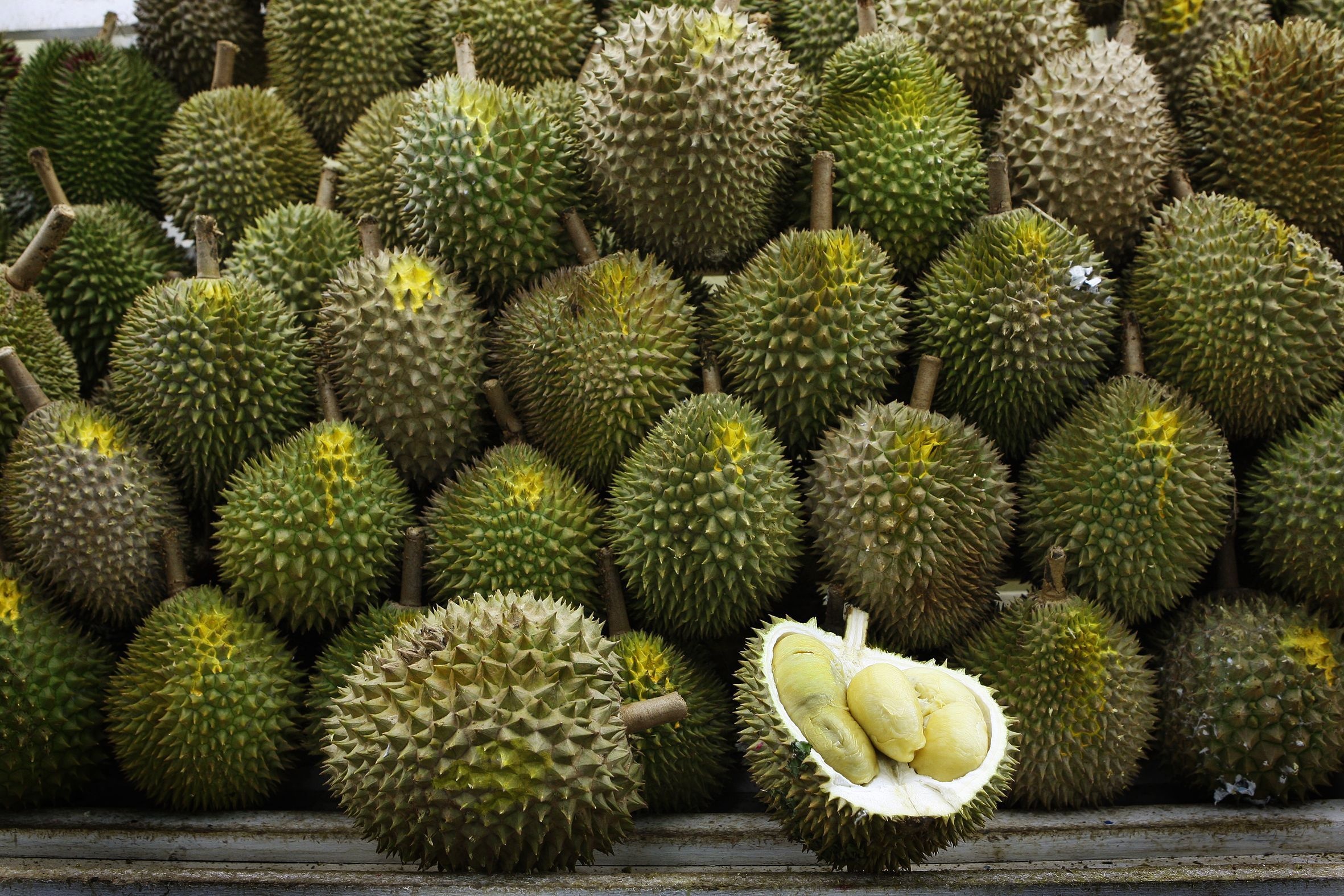 Durian: A spiny oval tropical fruit containing a creamy pulp. 2370x1580 HD Wallpaper.