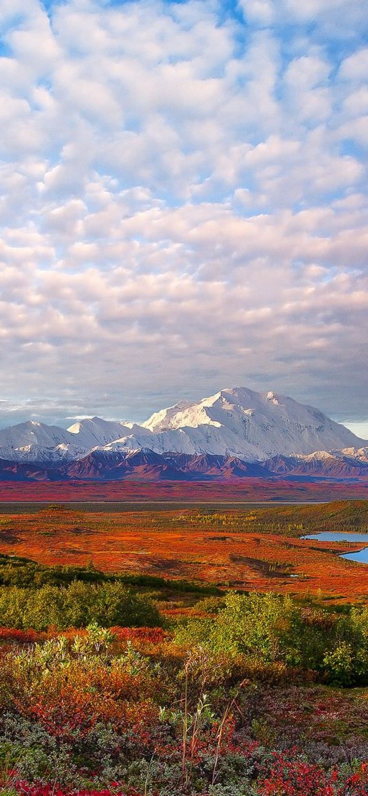 Denali National Park, Desktop background, Alaska wilderness, HD wallpaper, 1170x2540 HD Phone