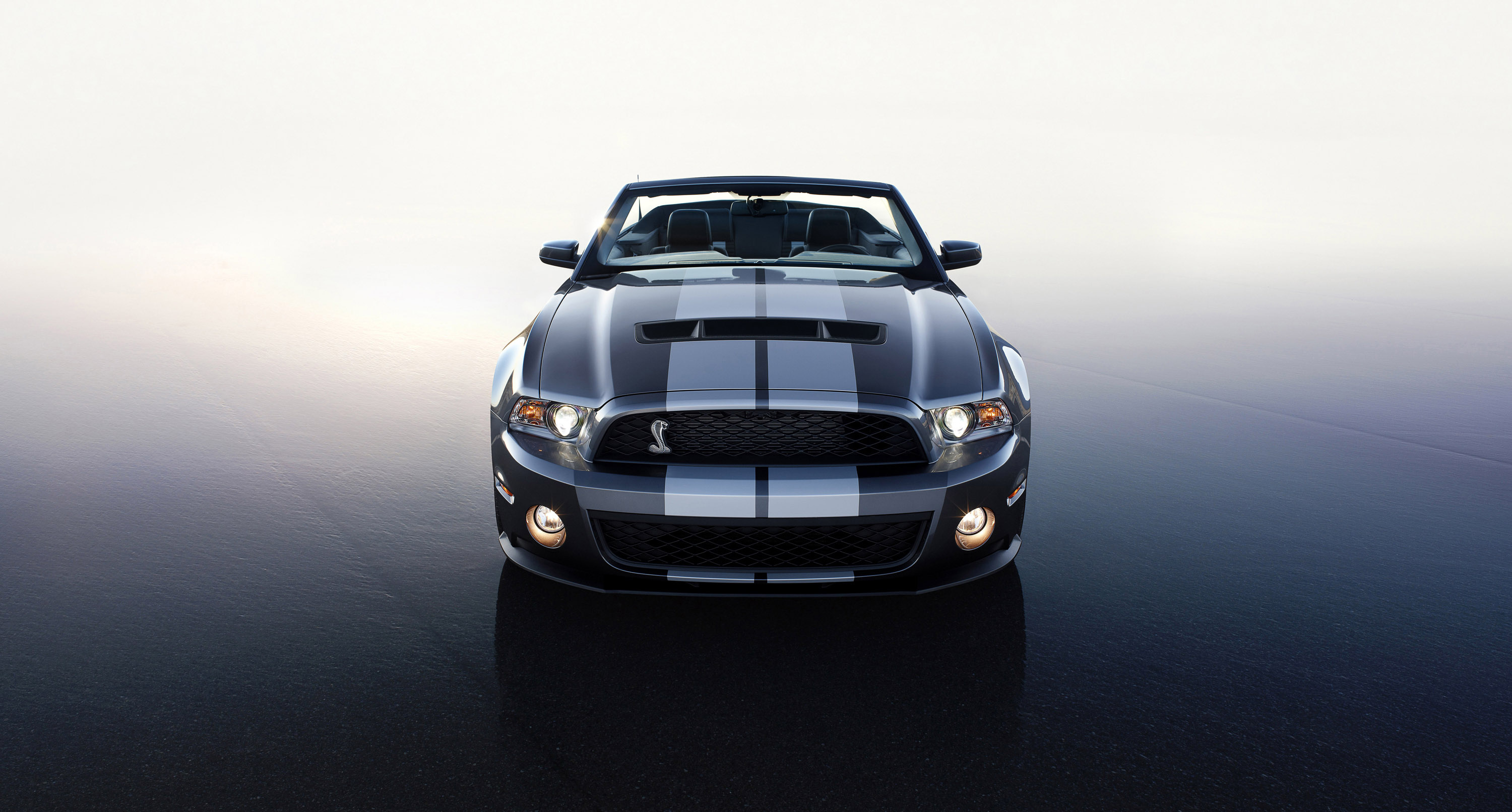 GT500, Ford Shelby GT500, Power-packed performance, Muscle car legacy, 3000x1620 HD Desktop