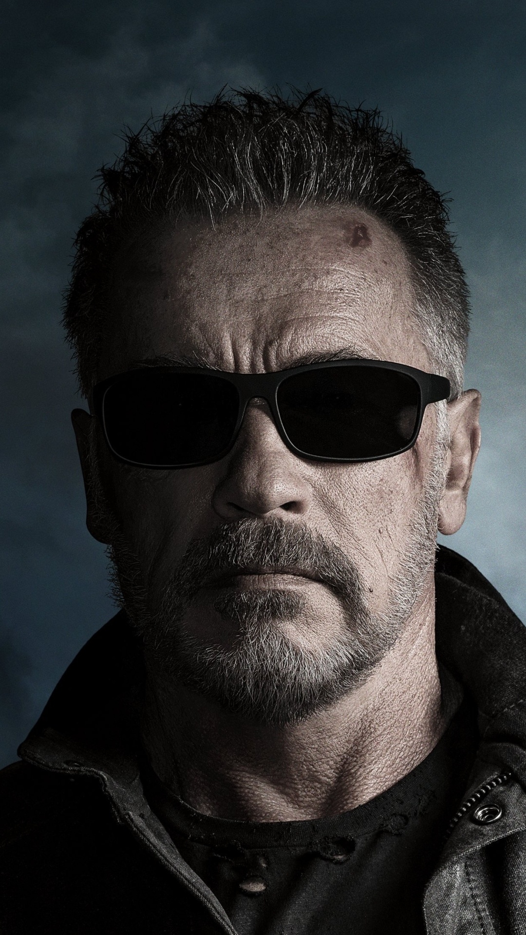 Terminator: Dark Fate: Schwarzenegger, Cyborg, T-800 called "Carl". 1080x1920 Full HD Wallpaper.