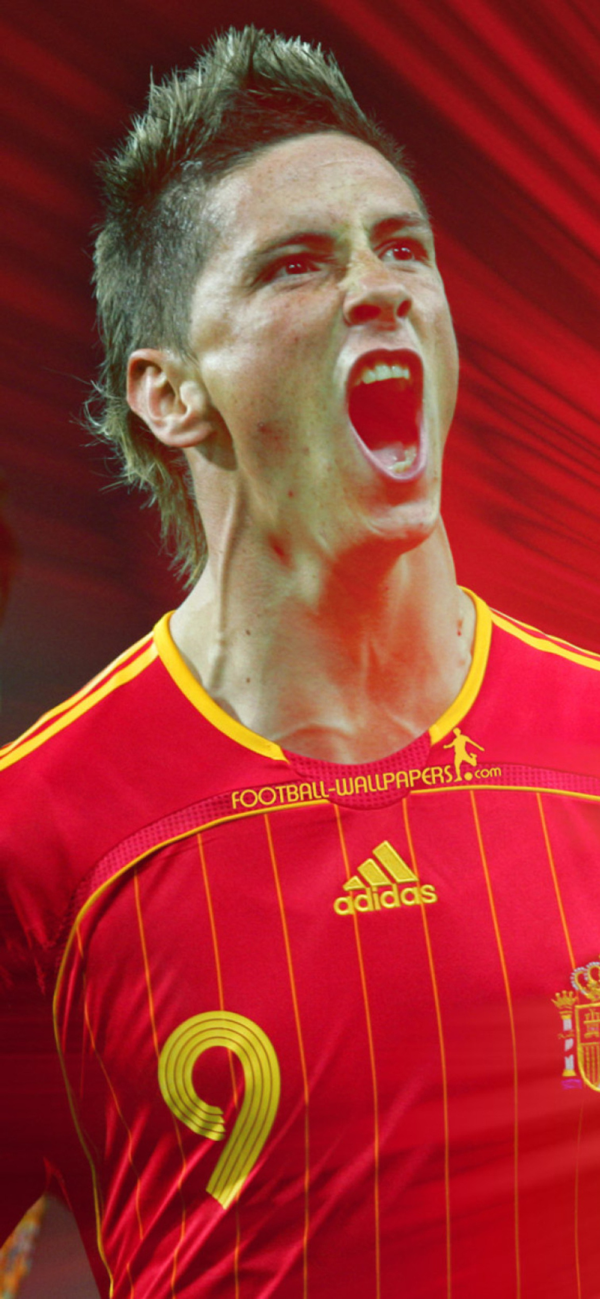 Fernando Torres, iPhone 12 Pro wallpapers, Football legend, Iconic image, 1170x2540 HD Handy